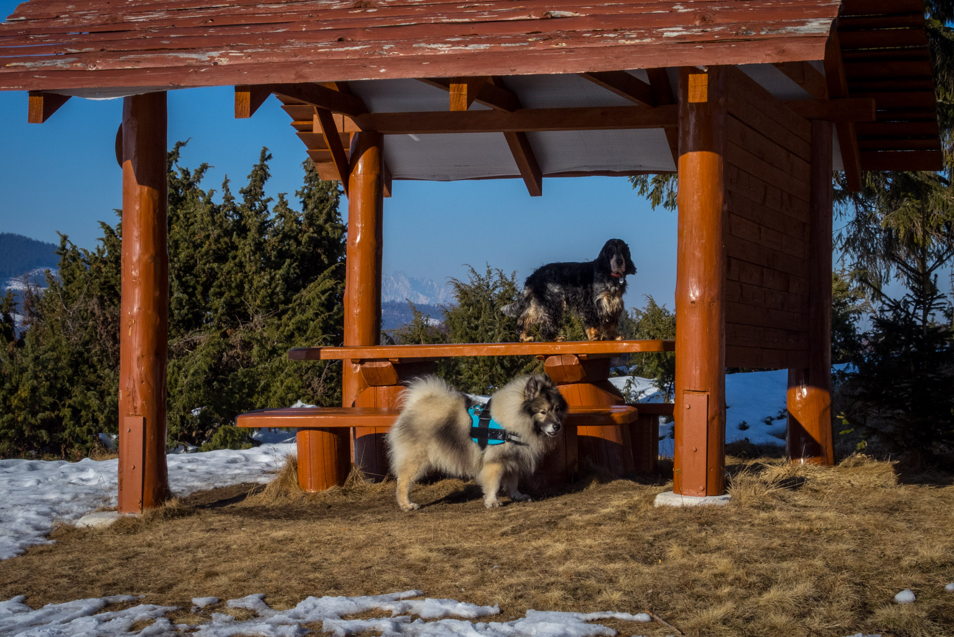 Ondrejisko (Borovniak) zo sedla Besník (Slovenský raj)