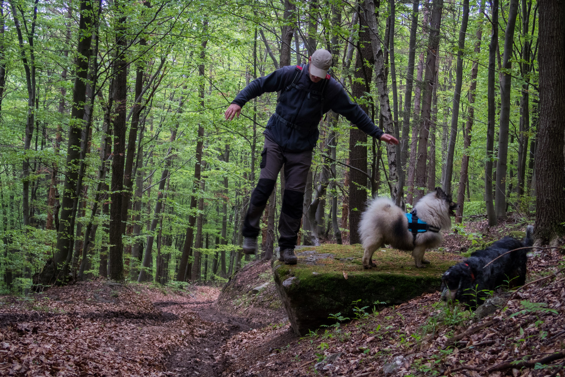 Opičia skala a Turecká z Rožňavskej bane (Revúcka vrchovina)