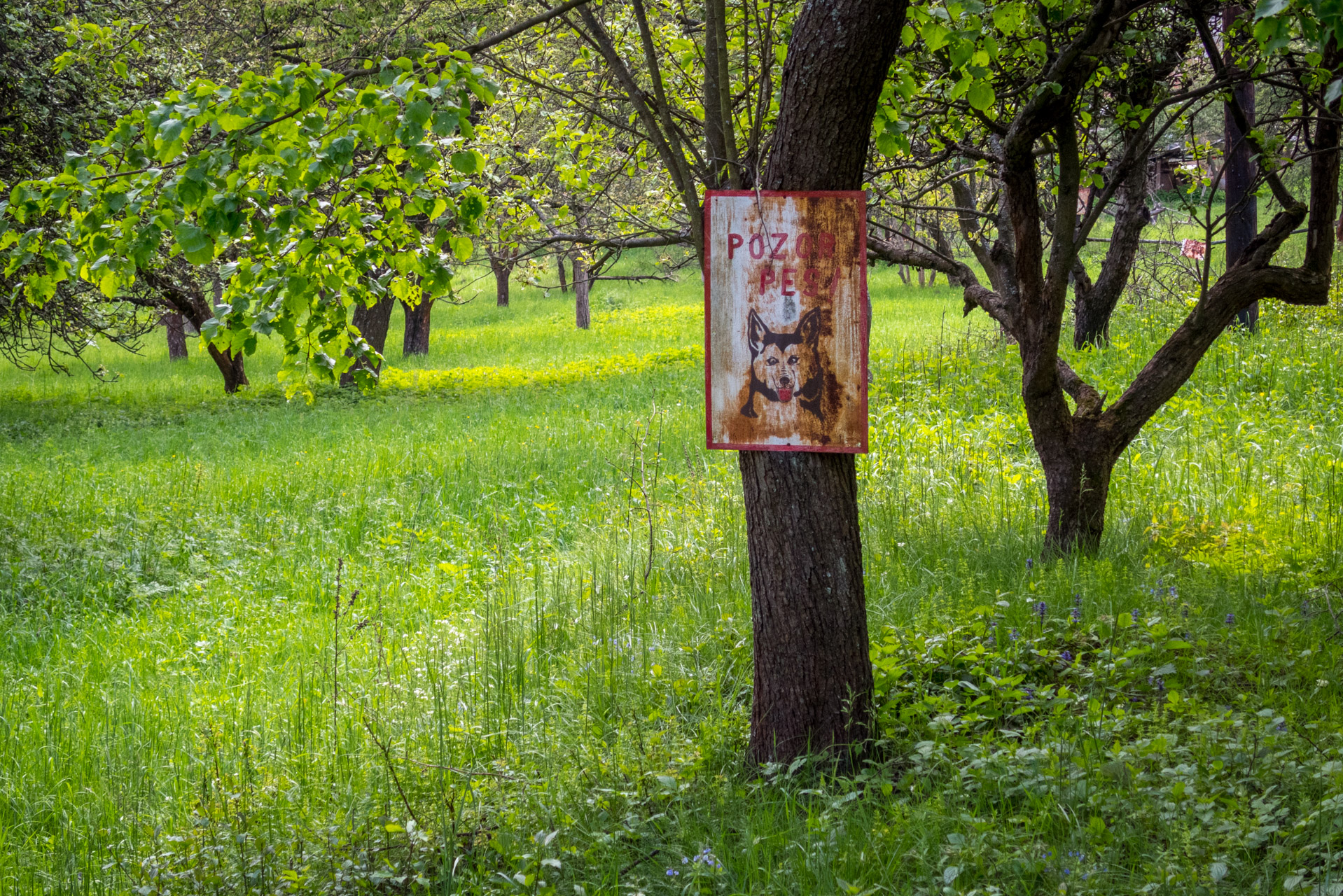 Opičia skala a Turecká z Rožňavskej bane (Revúcka vrchovina)