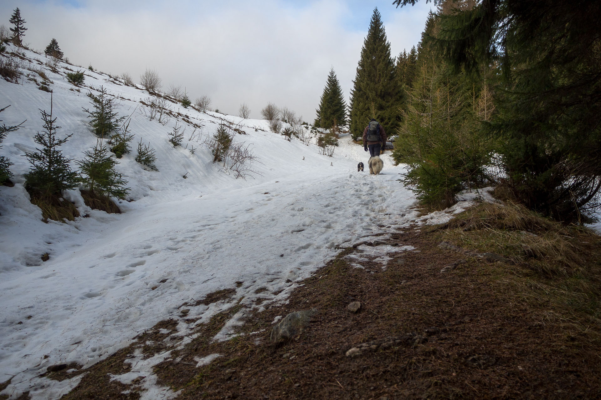 Panská hoľa z Liptovskej Tepličky (Nízke Tatry)