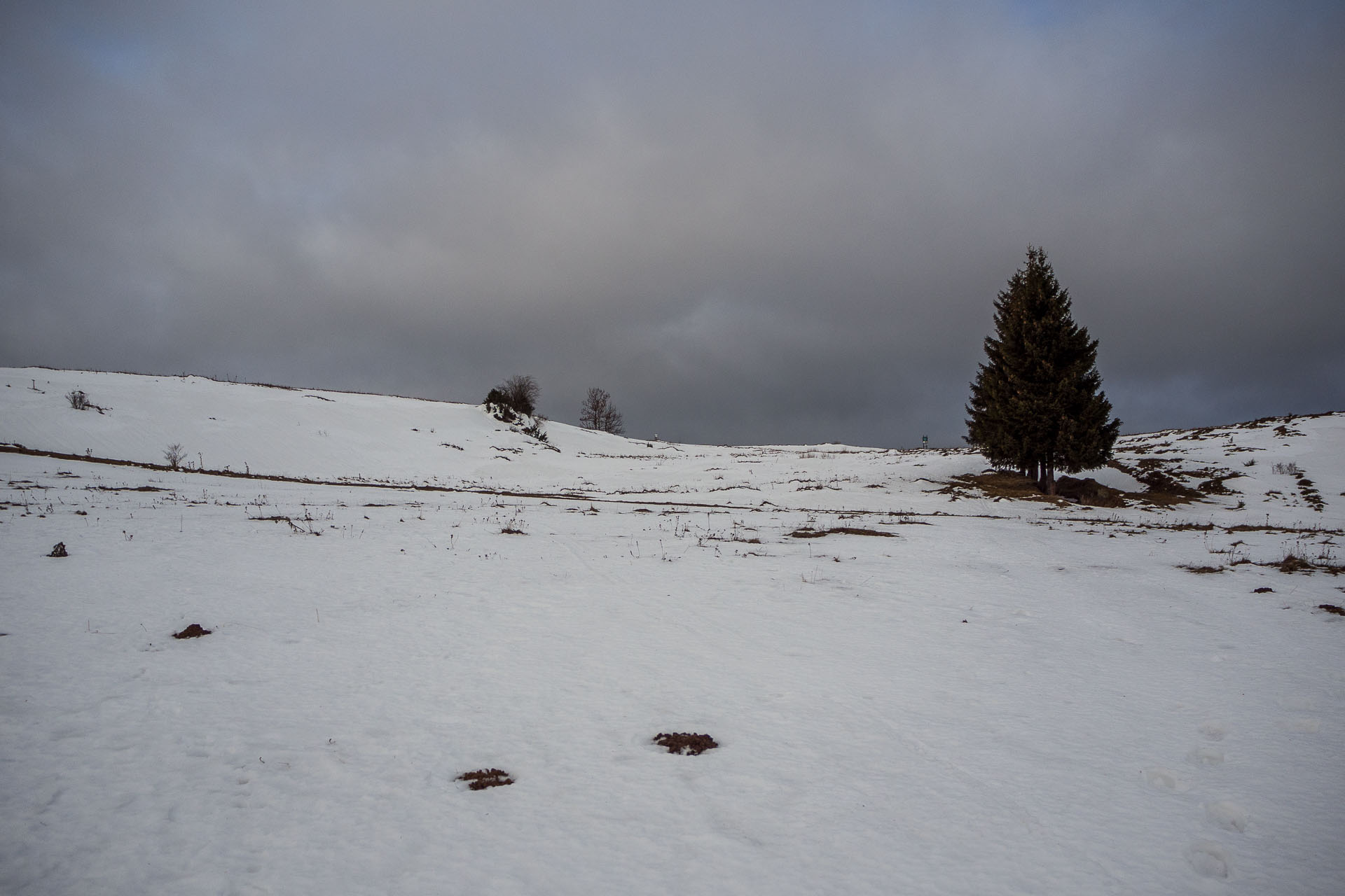 Panská hoľa z Liptovskej Tepličky (Nízke Tatry)