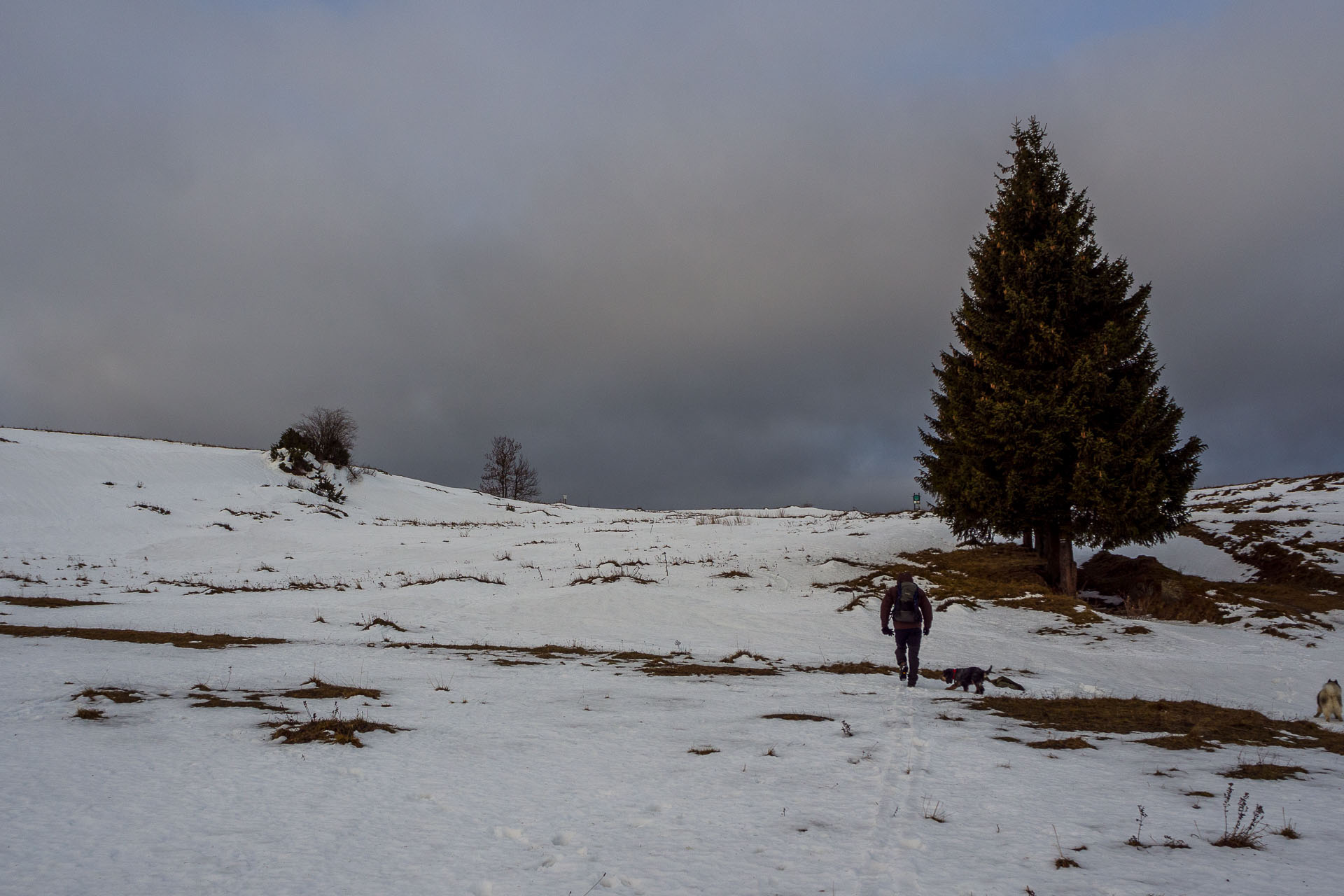 Panská hoľa z Liptovskej Tepličky (Nízke Tatry)