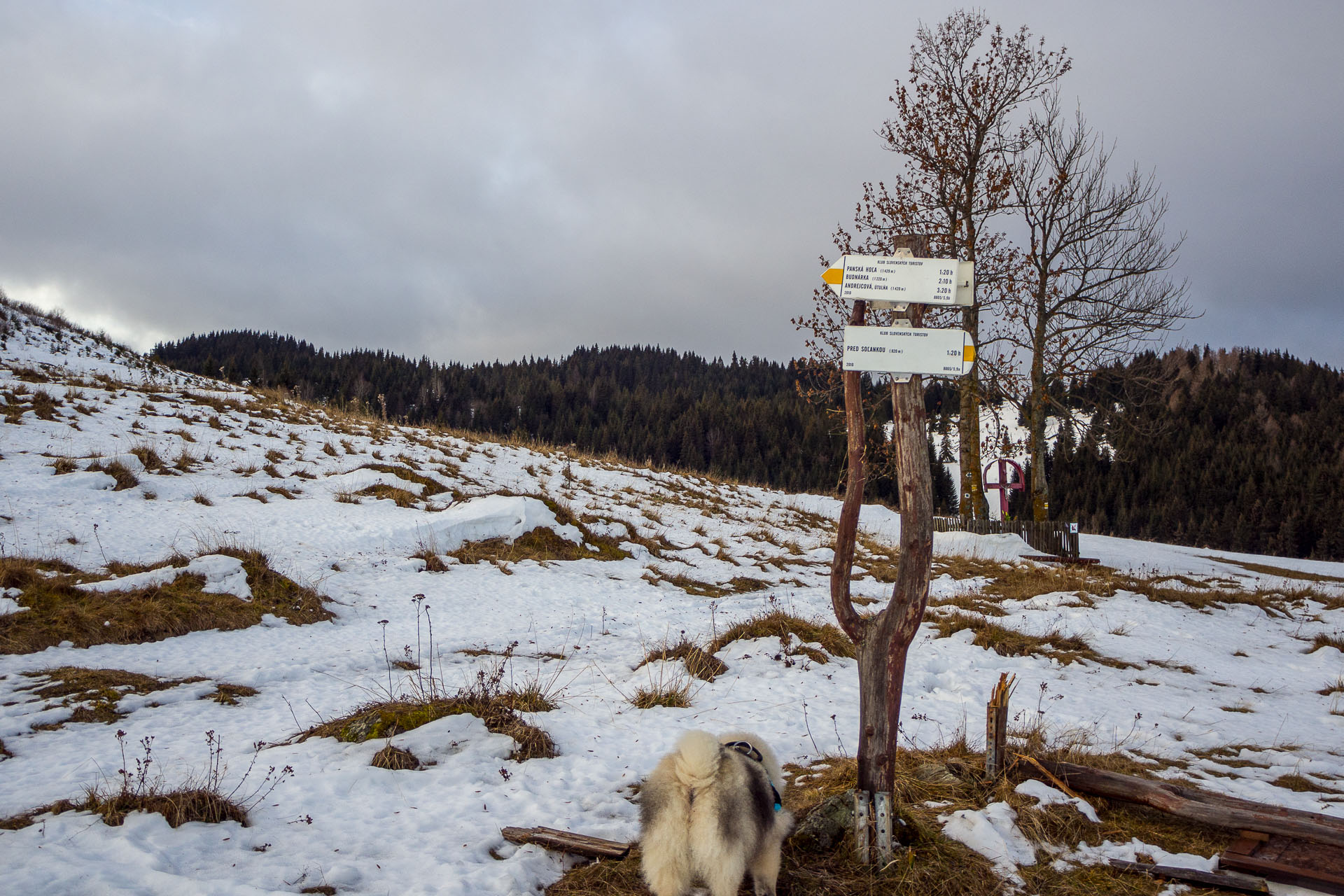 Panská hoľa z Liptovskej Tepličky (Nízke Tatry)