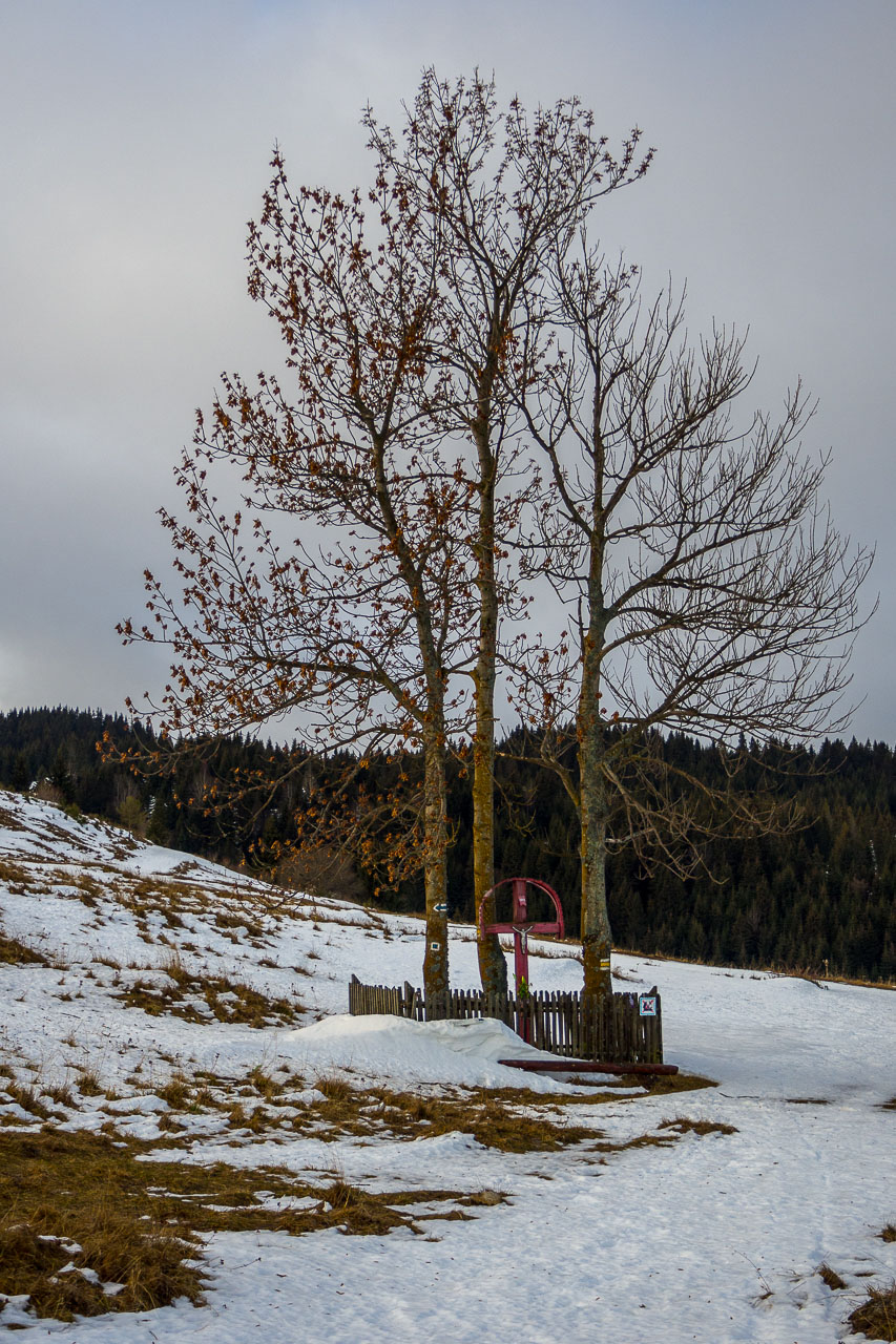 Panská hoľa z Liptovskej Tepličky (Nízke Tatry)