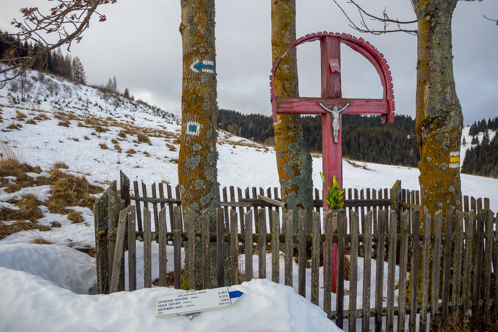 Panská hoľa z Liptovskej Tepličky (Nízke Tatry)