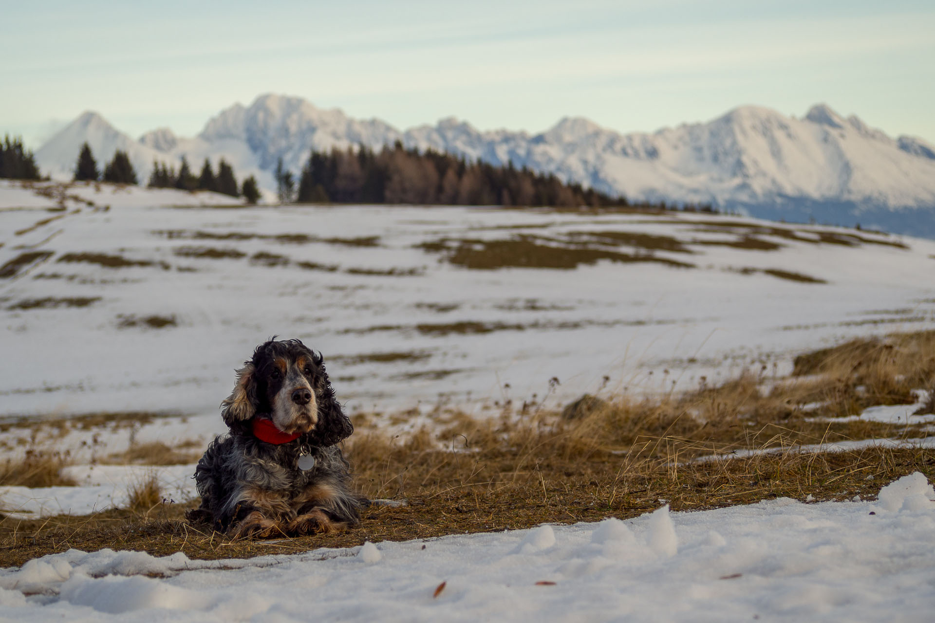 Panská hoľa z Liptovskej Tepličky (Nízke Tatry)