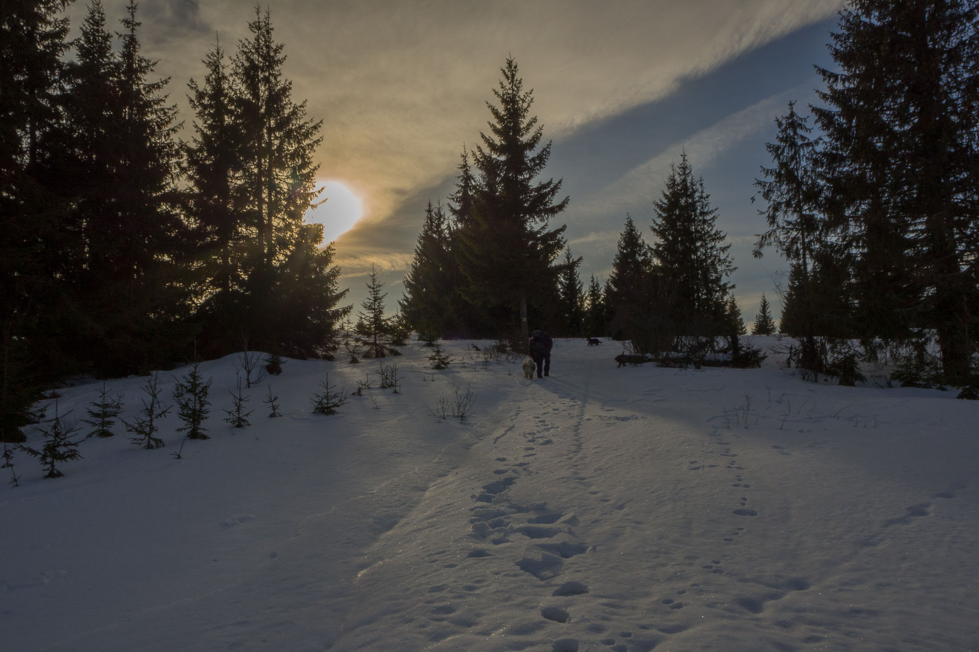 Panská hoľa z Liptovskej Tepličky (Nízke Tatry)