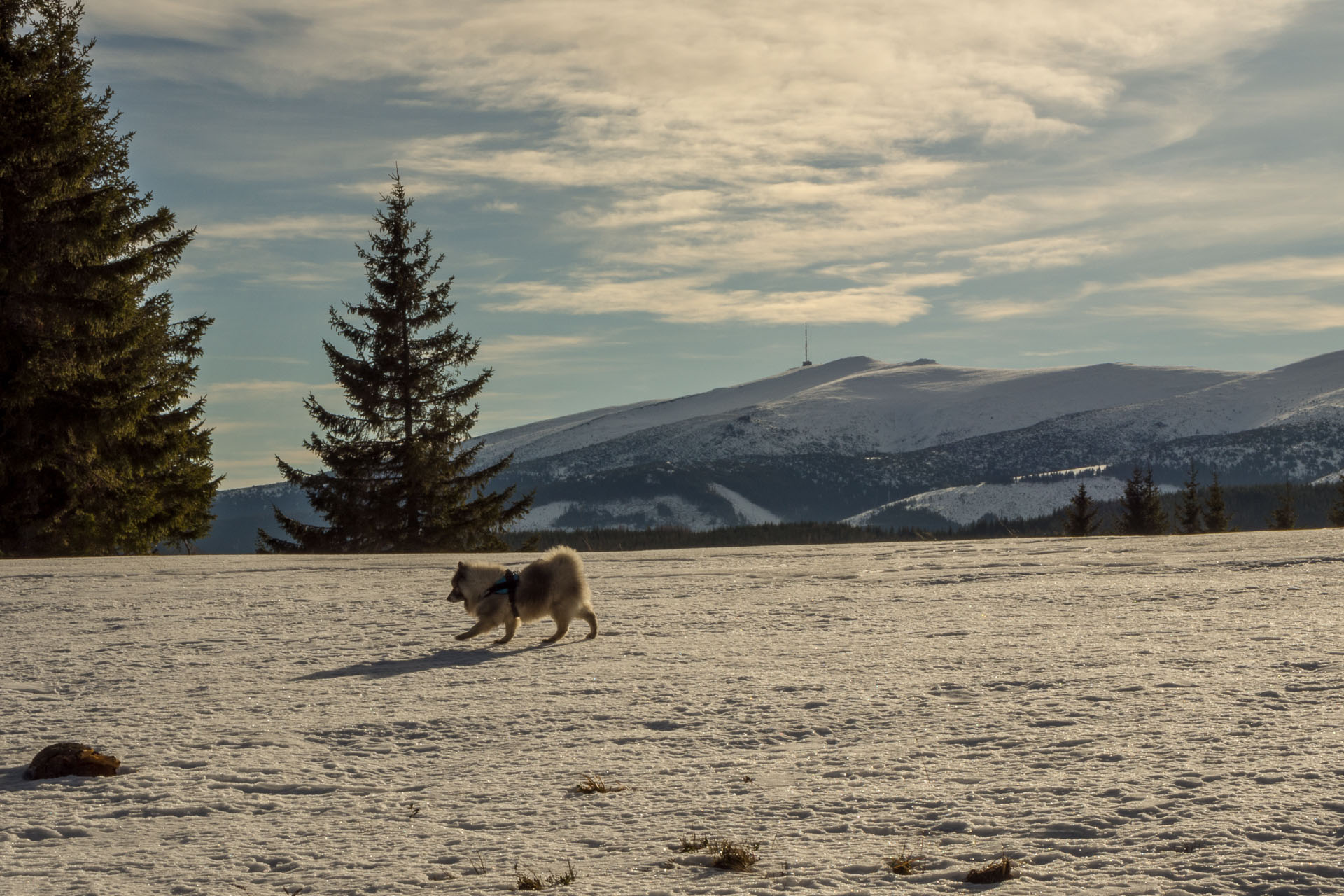 Panská hoľa z Liptovskej Tepličky (Nízke Tatry)