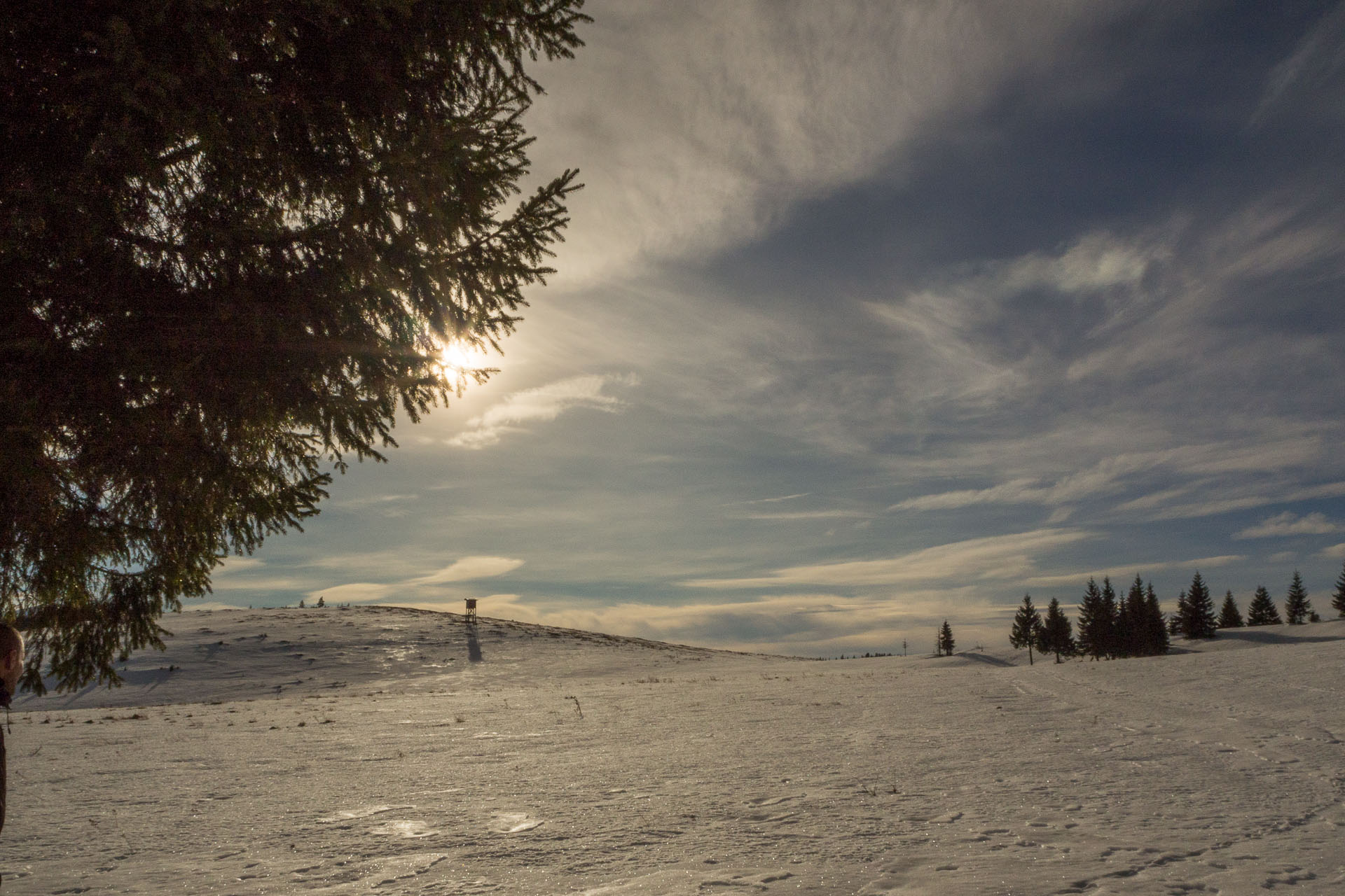 Panská hoľa z Liptovskej Tepličky (Nízke Tatry)