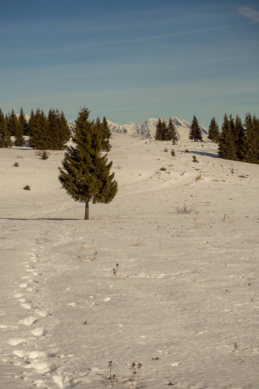 Panská hoľa z Liptovskej Tepličky (Nízke Tatry)