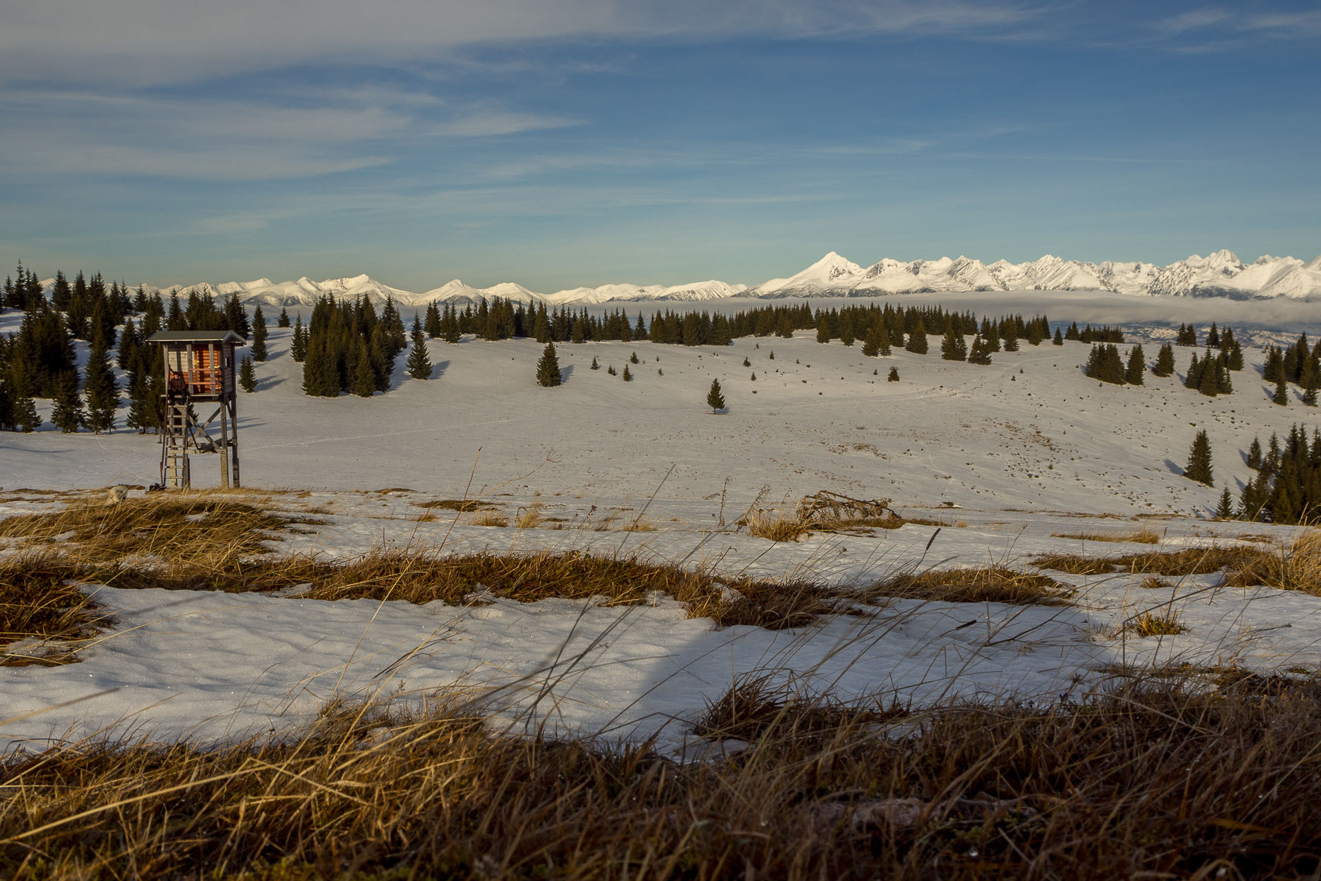 Panská hoľa z Liptovskej Tepličky (Nízke Tatry)