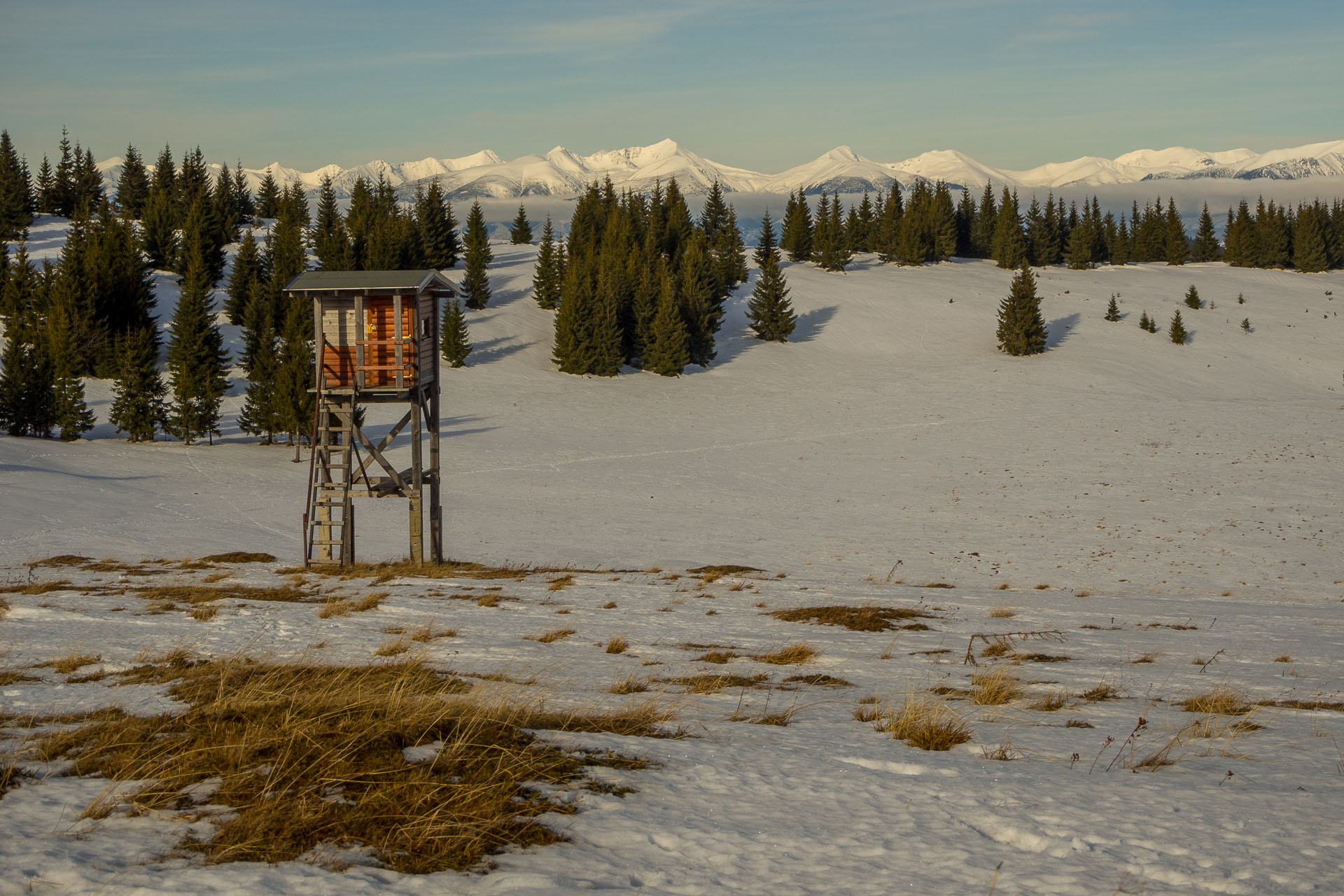 Panská hoľa z Liptovskej Tepličky (Nízke Tatry)