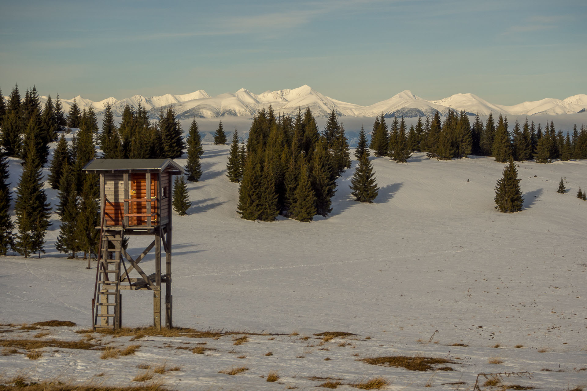 Panská hoľa z Liptovskej Tepličky (Nízke Tatry)