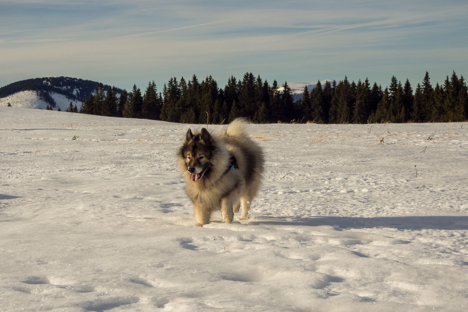 Panská hoľa z Liptovskej Tepličky (Nízke Tatry)