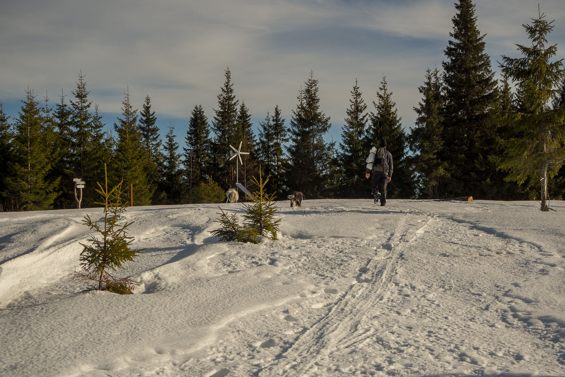 Panská hoľa z Liptovskej Tepličky (Nízke Tatry)