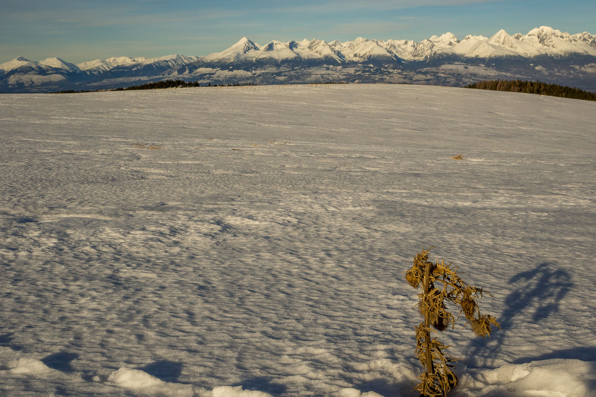 Panská hoľa z Liptovskej Tepličky (Nízke Tatry)