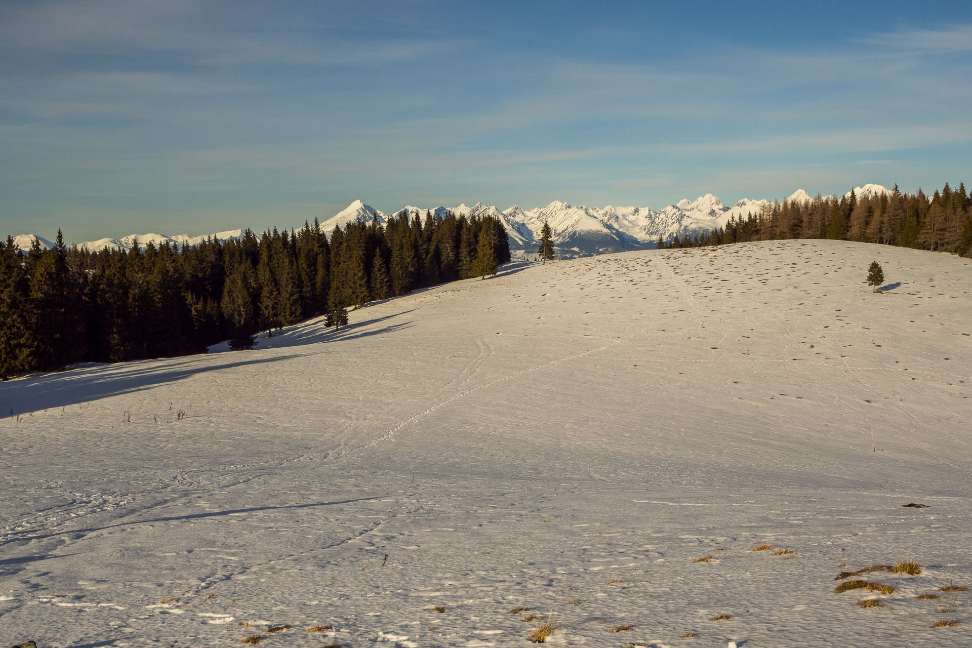 Panská hoľa z Liptovskej Tepličky (Nízke Tatry)