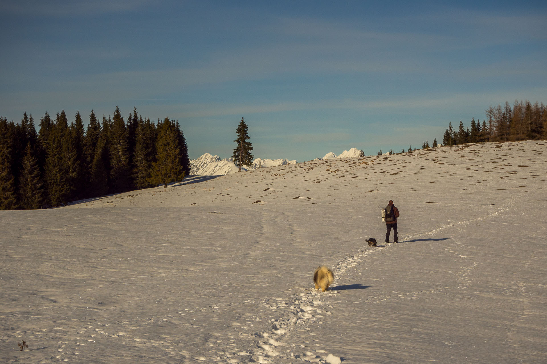 Panská hoľa z Liptovskej Tepličky (Nízke Tatry)