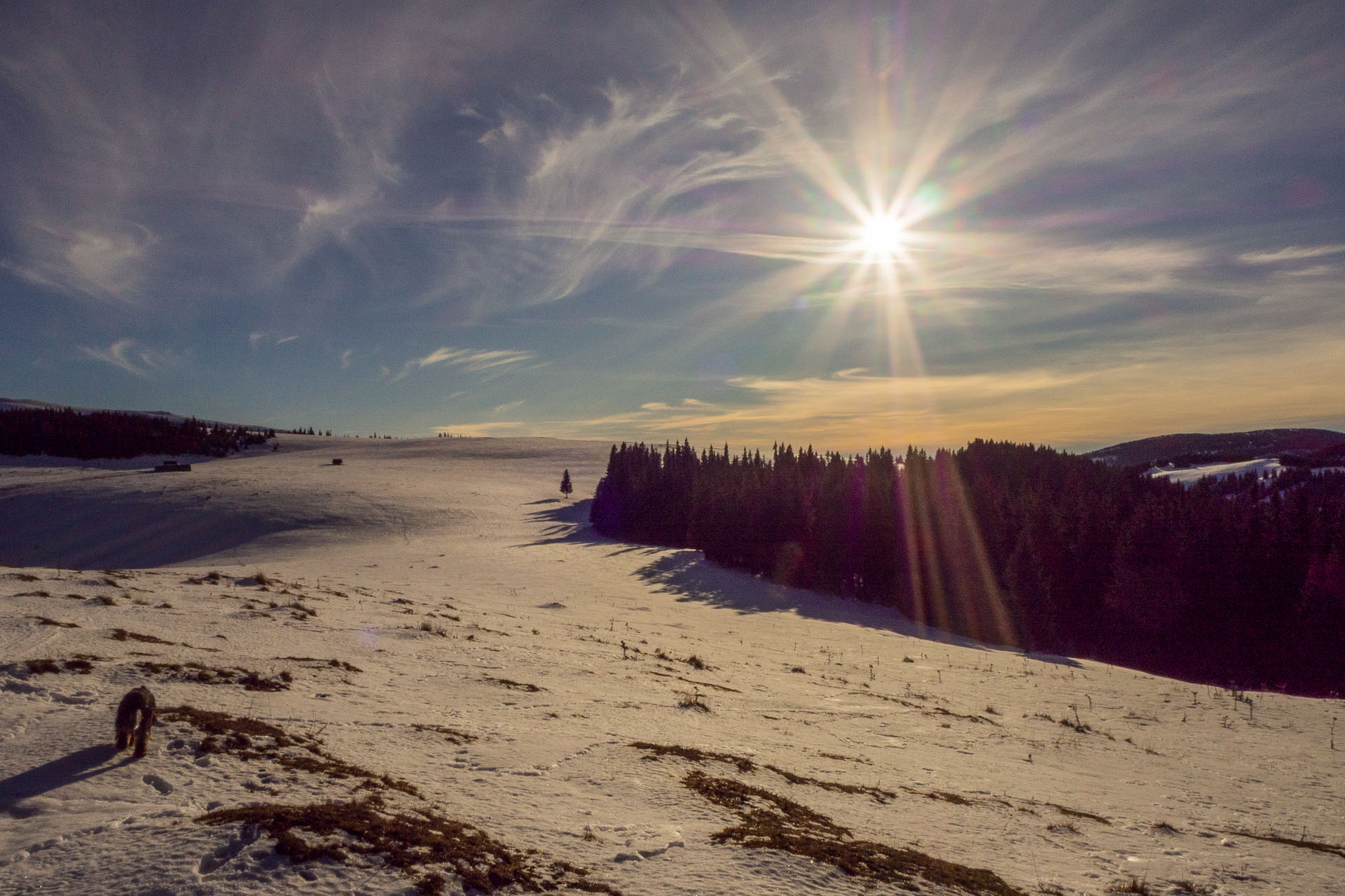 Panská hoľa z Liptovskej Tepličky (Nízke Tatry)