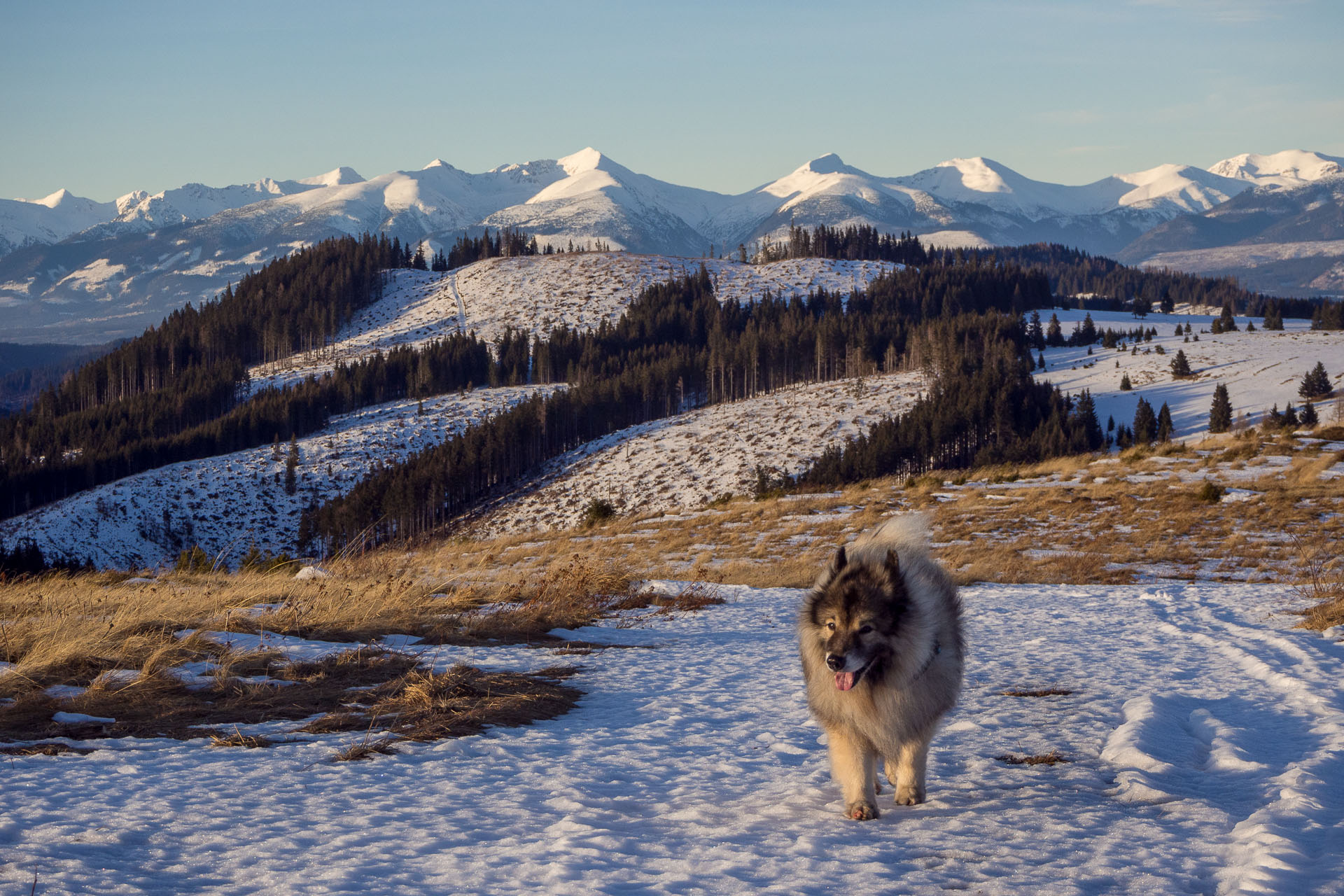 Panská hoľa z Liptovskej Tepličky (Nízke Tatry)