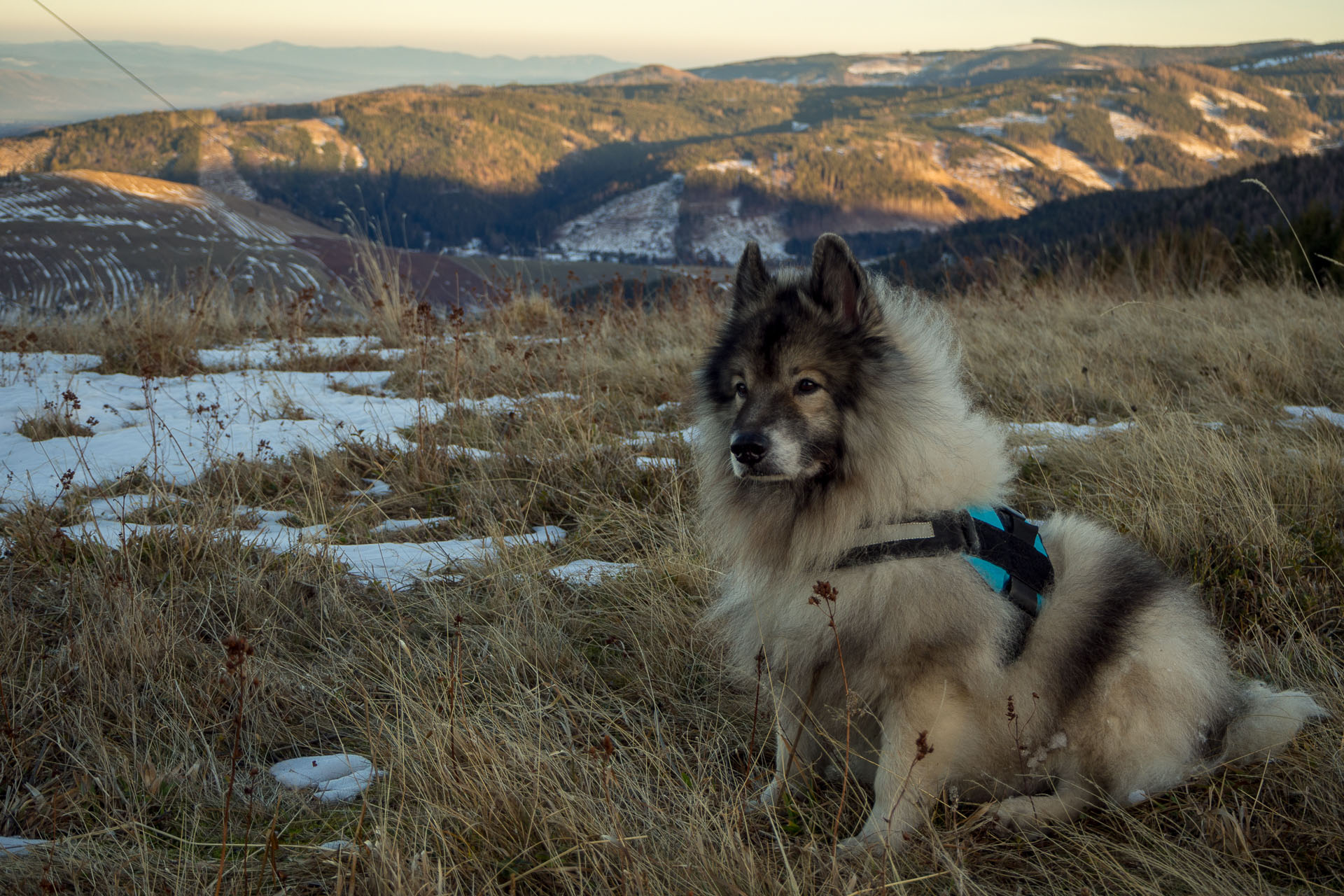 Panská hoľa z Liptovskej Tepličky (Nízke Tatry)