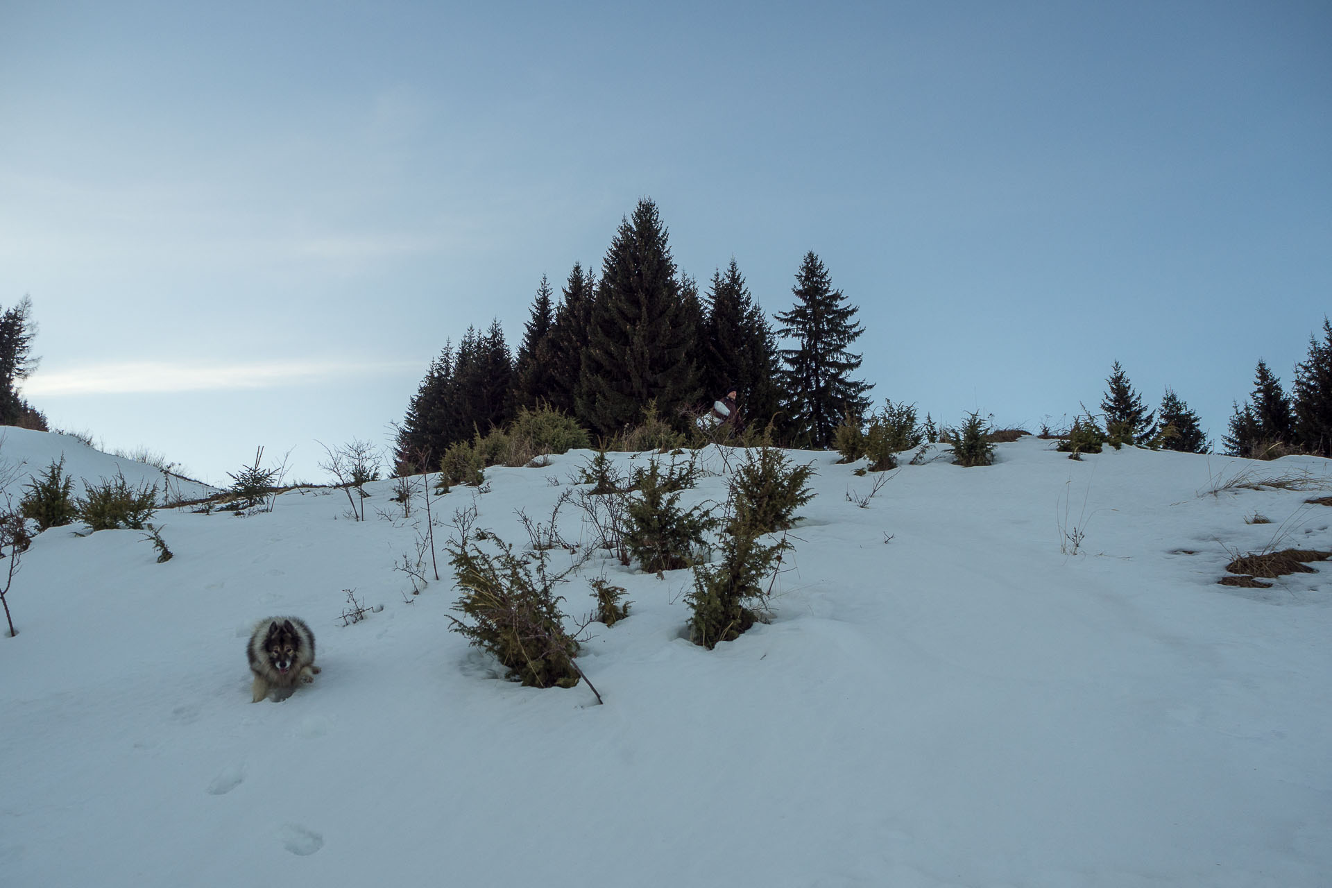 Panská hoľa z Liptovskej Tepličky (Nízke Tatry)