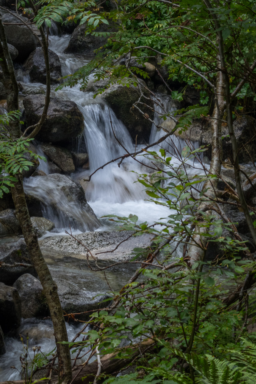 Poľana, Bôr a Siná za jeden deň (Nízke Tatry)