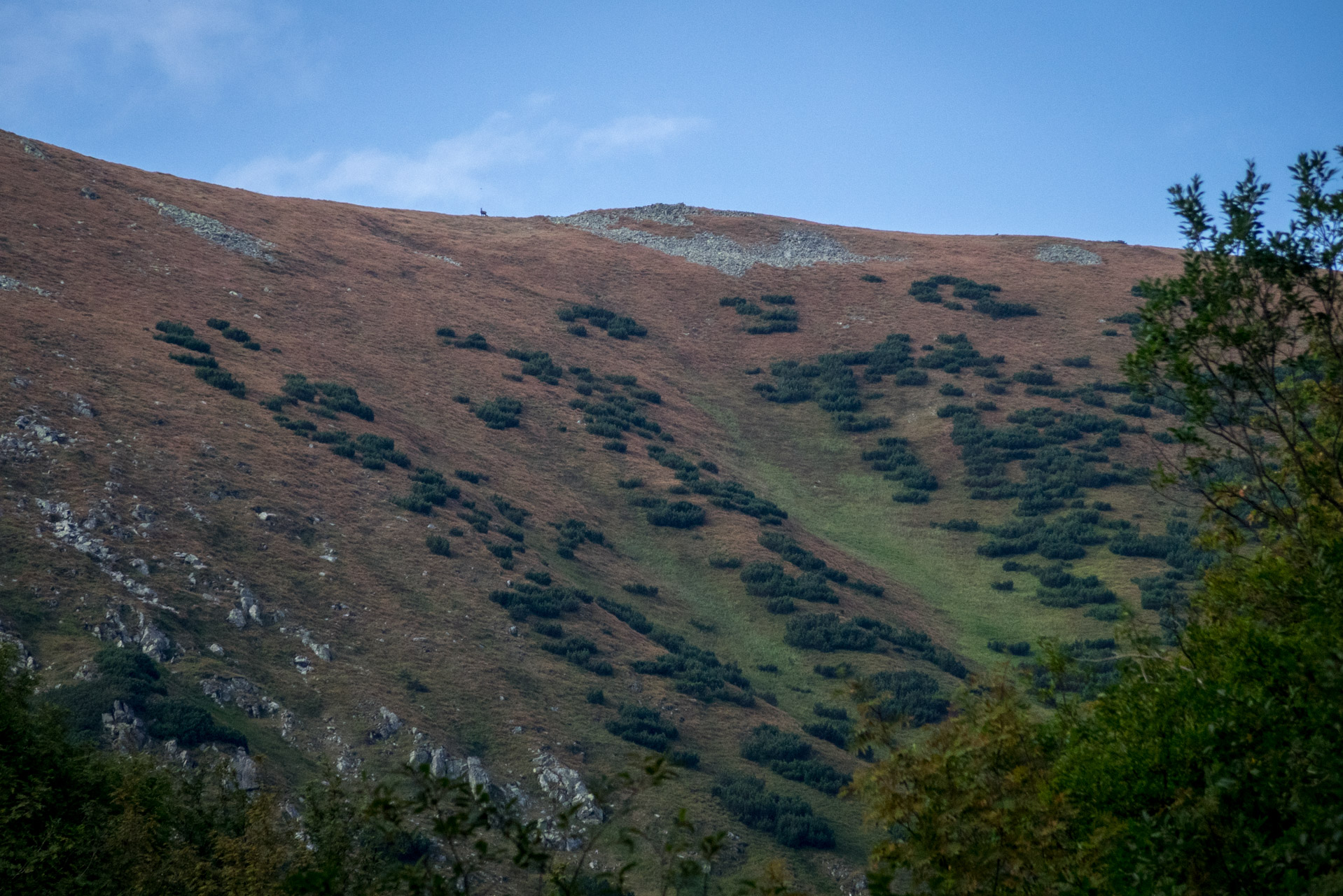 Poľana, Bôr a Siná za jeden deň (Nízke Tatry)