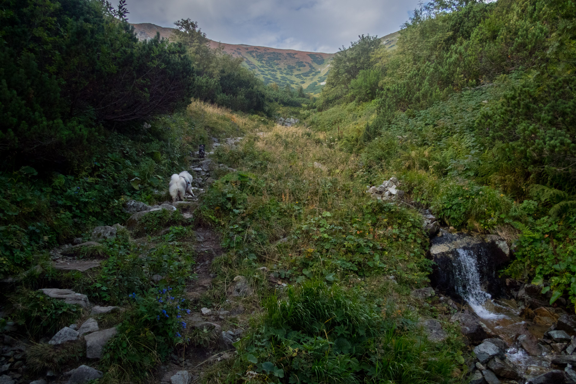 Poľana, Bôr a Siná za jeden deň (Nízke Tatry)