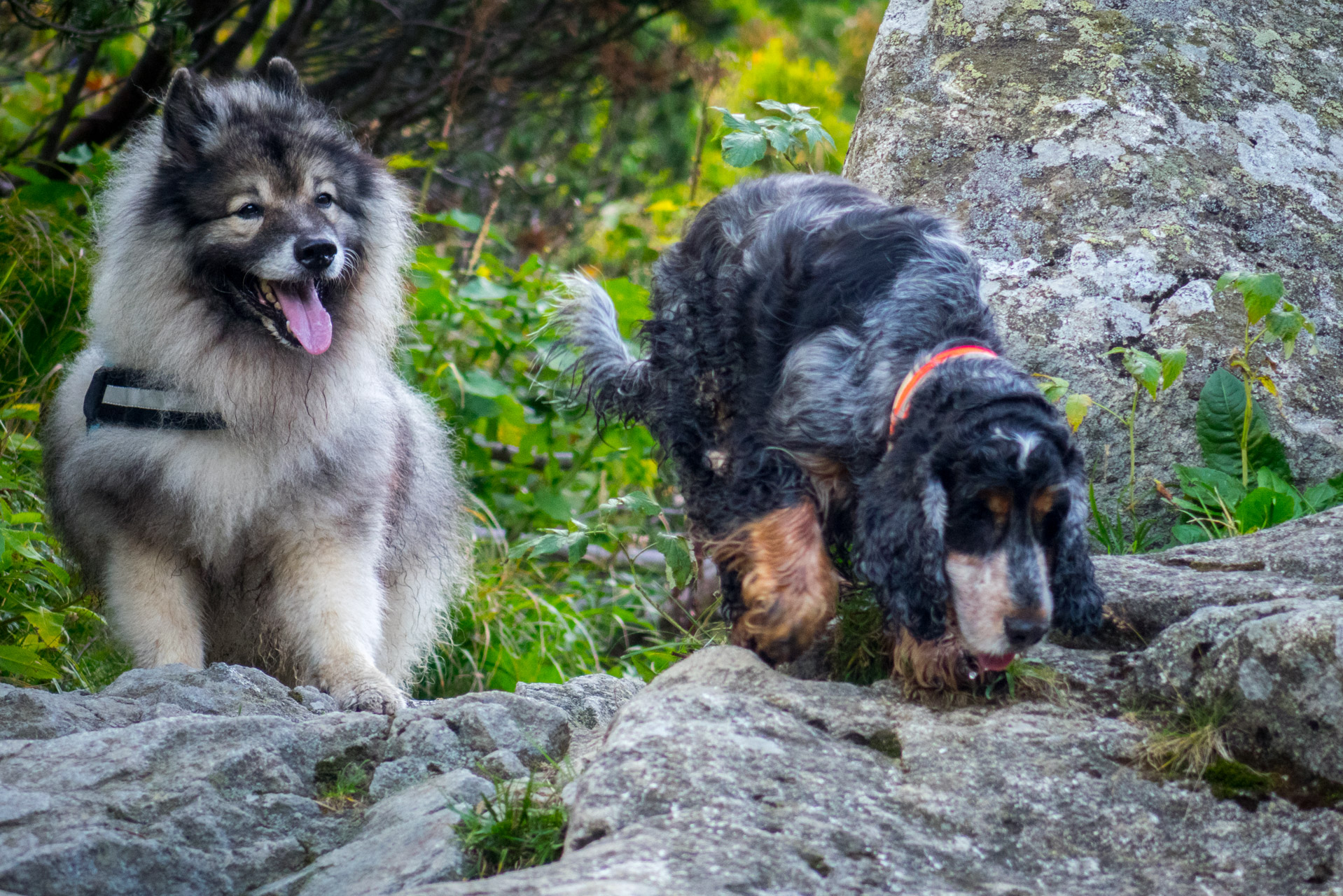 Poľana, Bôr a Siná za jeden deň (Nízke Tatry)