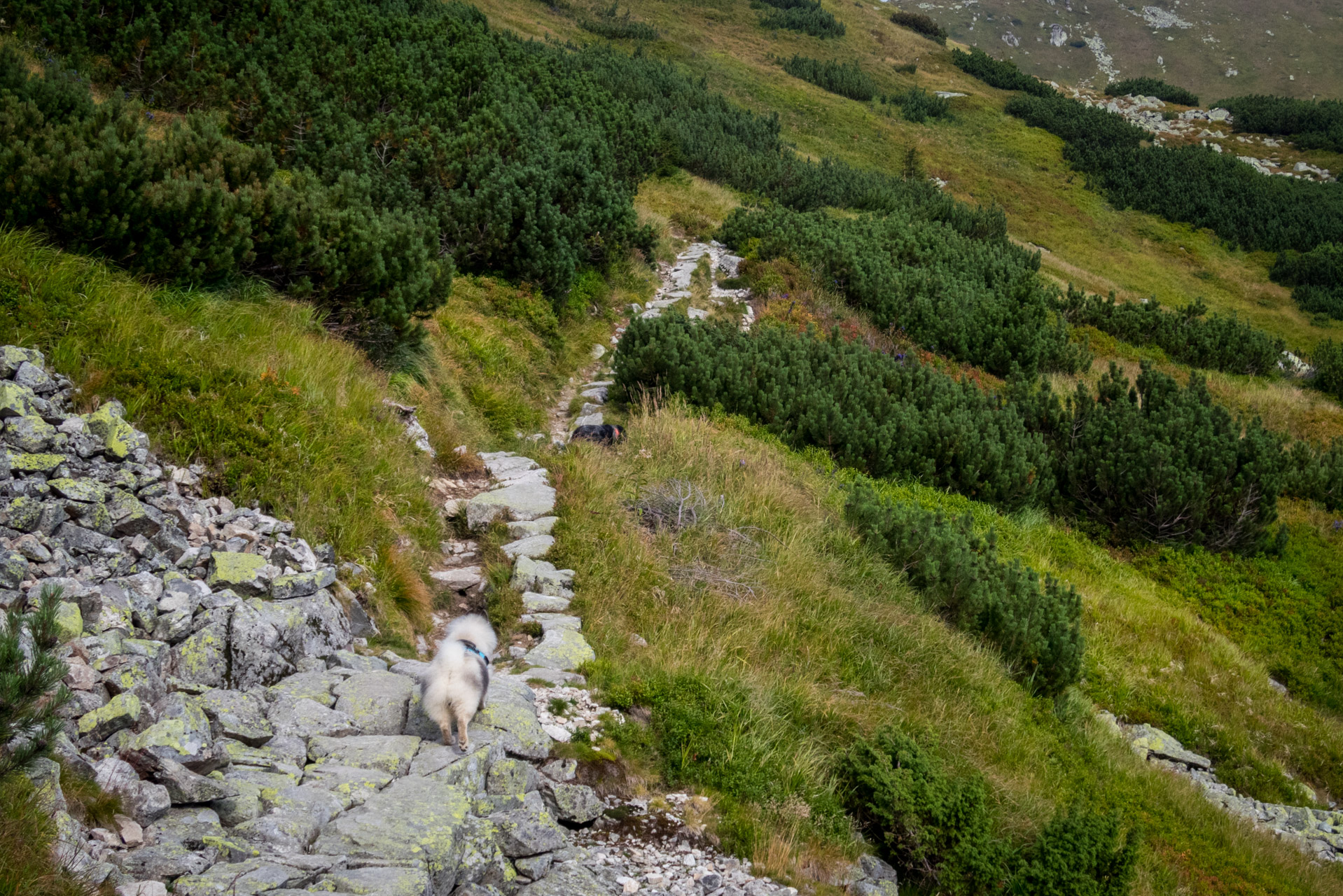 Poľana, Bôr a Siná za jeden deň (Nízke Tatry)