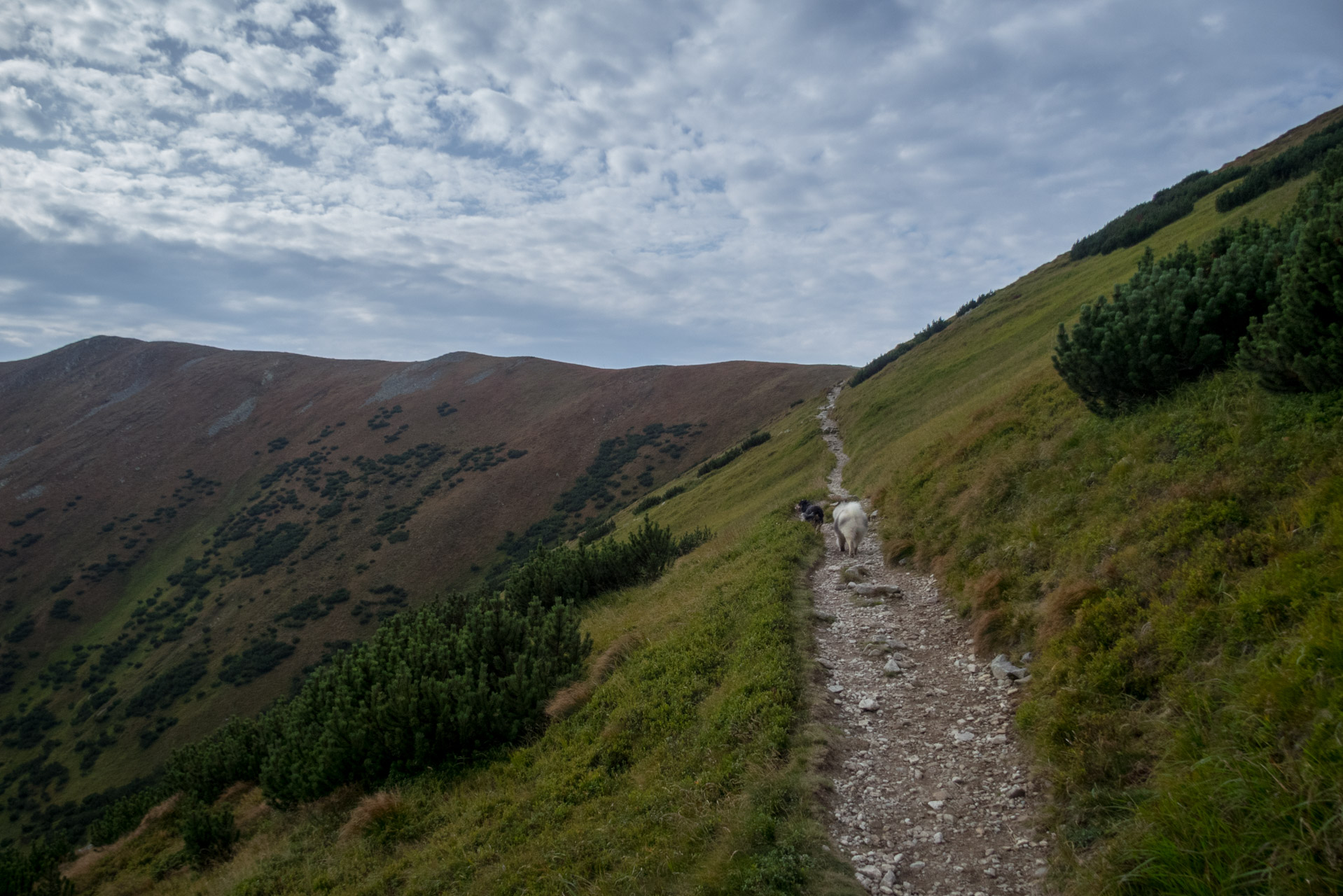 Poľana, Bôr a Siná za jeden deň (Nízke Tatry)