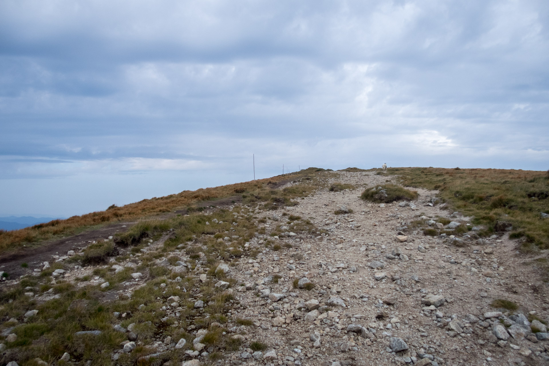 Poľana, Bôr a Siná za jeden deň (Nízke Tatry)