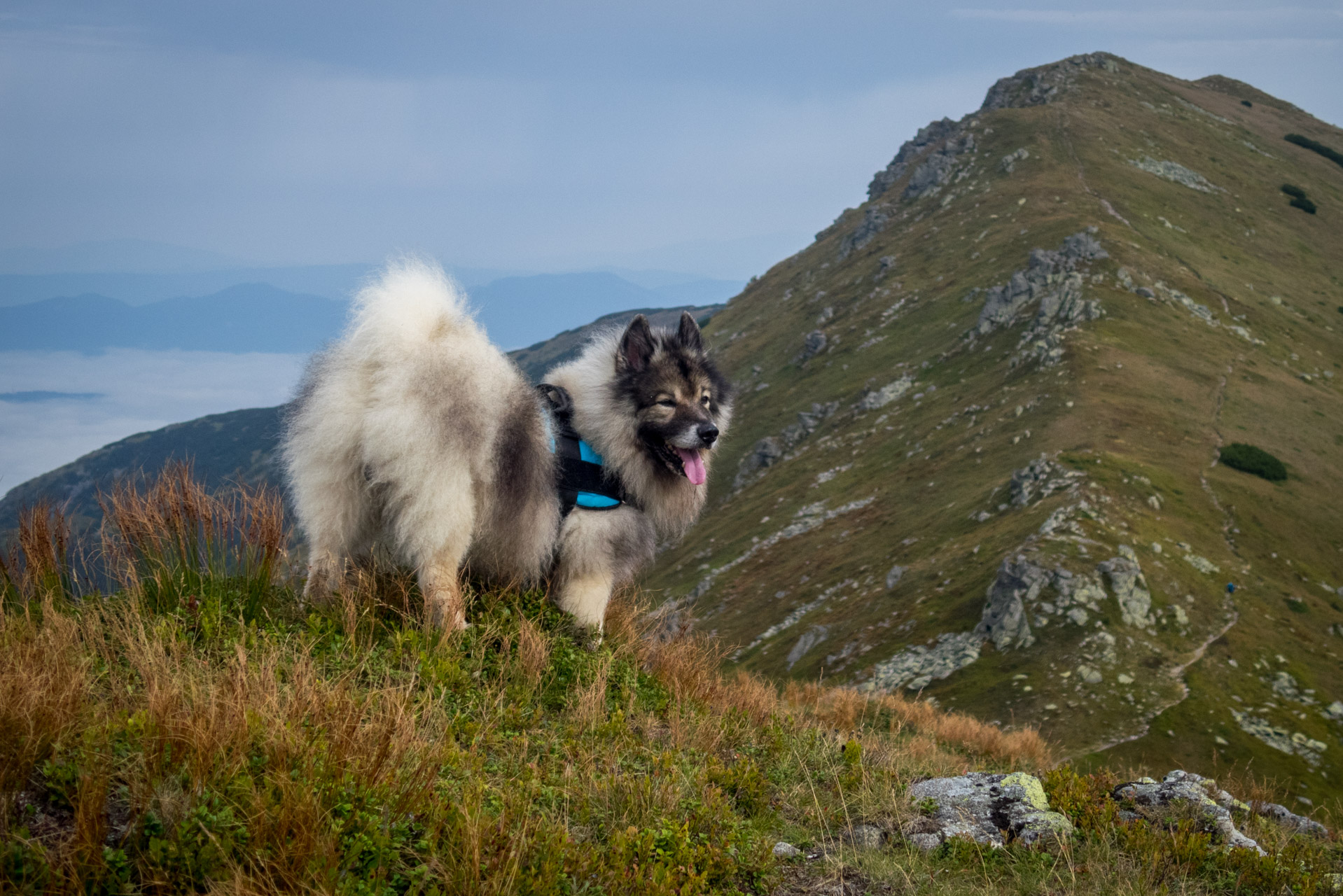 Poľana, Bôr a Siná za jeden deň (Nízke Tatry)