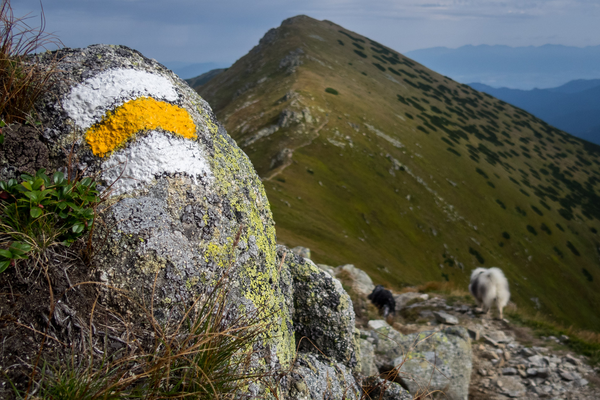 Poľana, Bôr a Siná za jeden deň (Nízke Tatry)