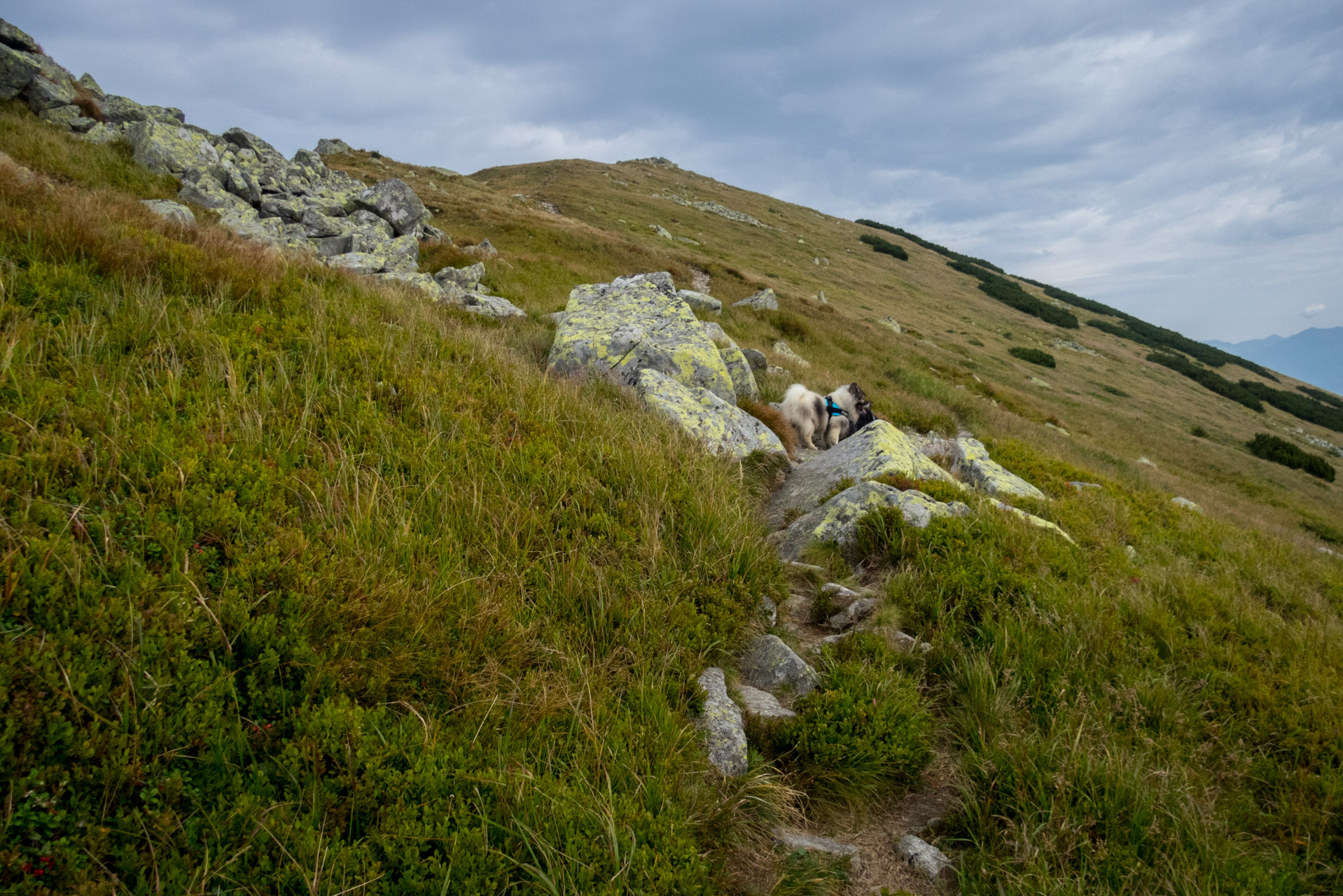 Poľana, Bôr a Siná za jeden deň (Nízke Tatry)