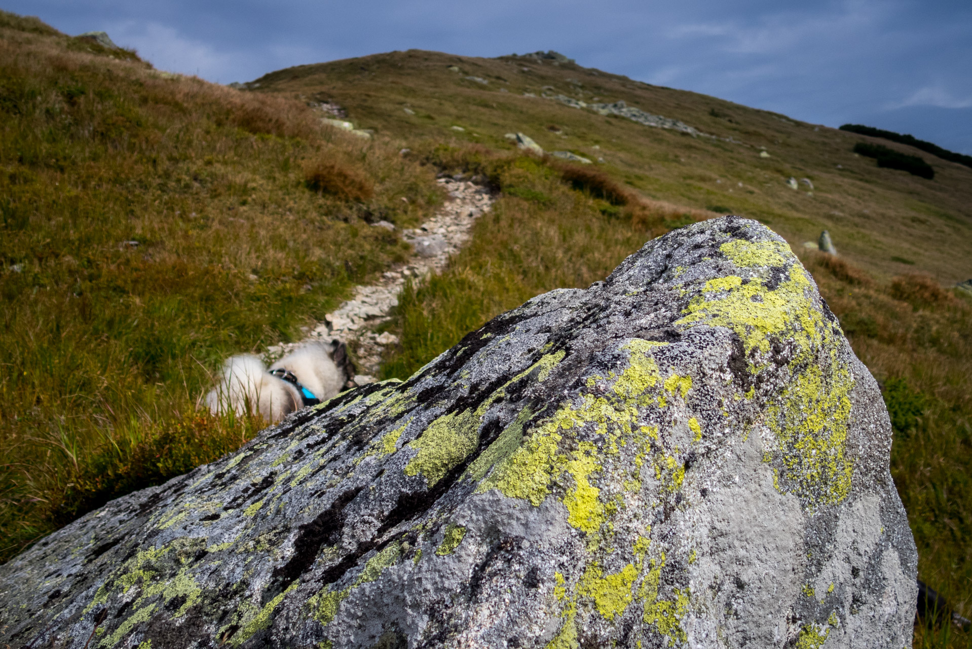 Poľana, Bôr a Siná za jeden deň (Nízke Tatry)