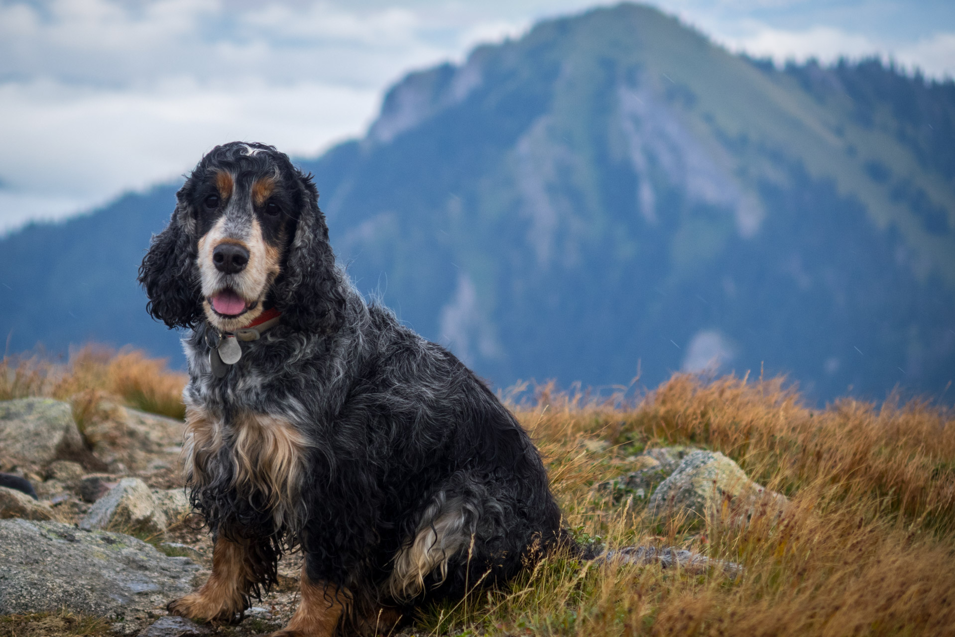 Poľana, Bôr a Siná za jeden deň (Nízke Tatry)