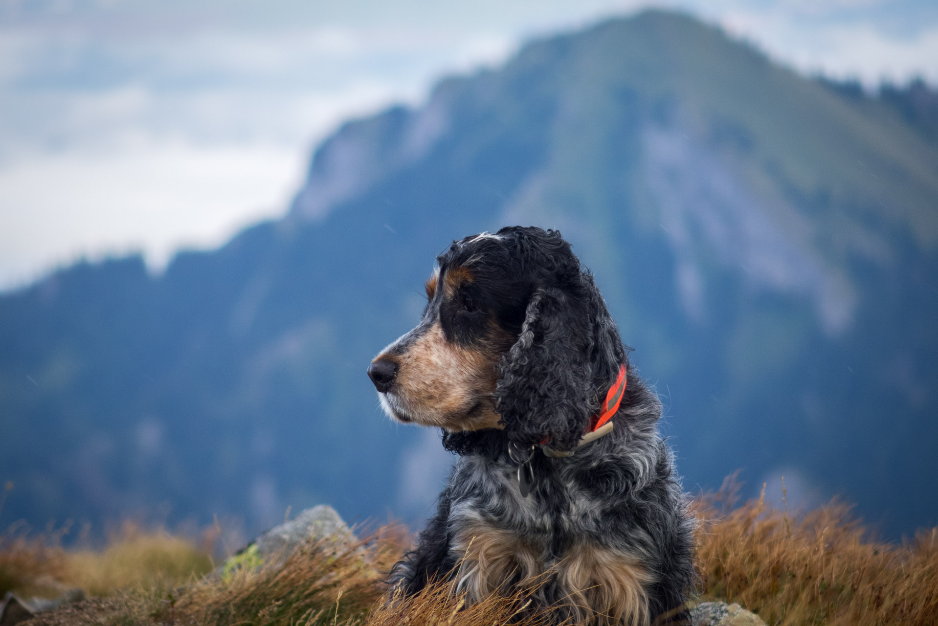 Poľana, Bôr a Siná za jeden deň (Nízke Tatry)