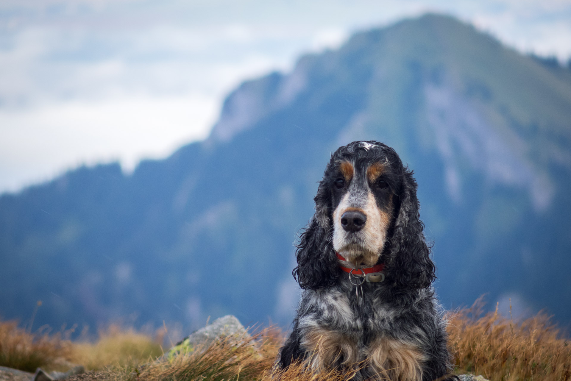 Poľana, Bôr a Siná za jeden deň (Nízke Tatry)