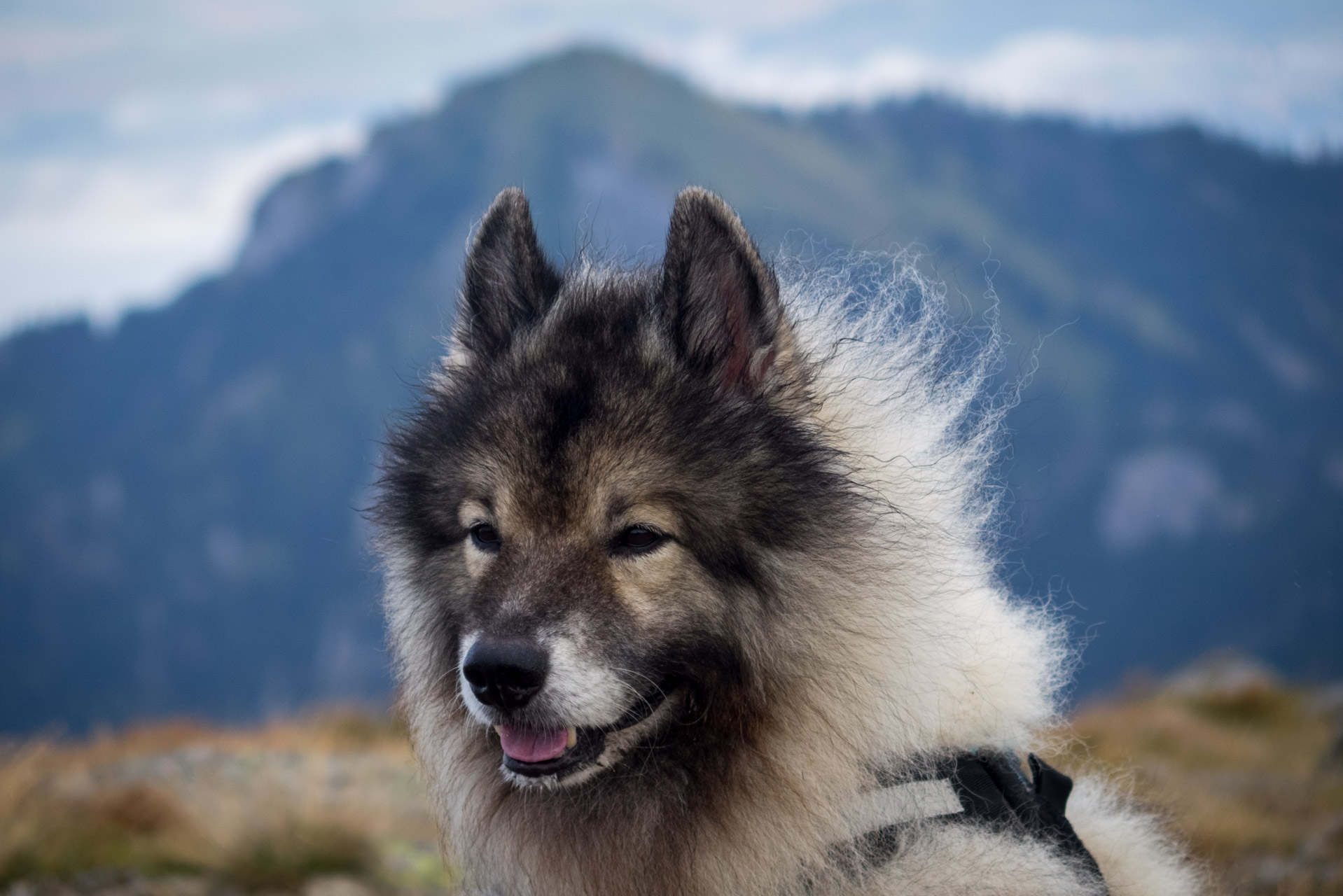 Poľana, Bôr a Siná za jeden deň (Nízke Tatry)