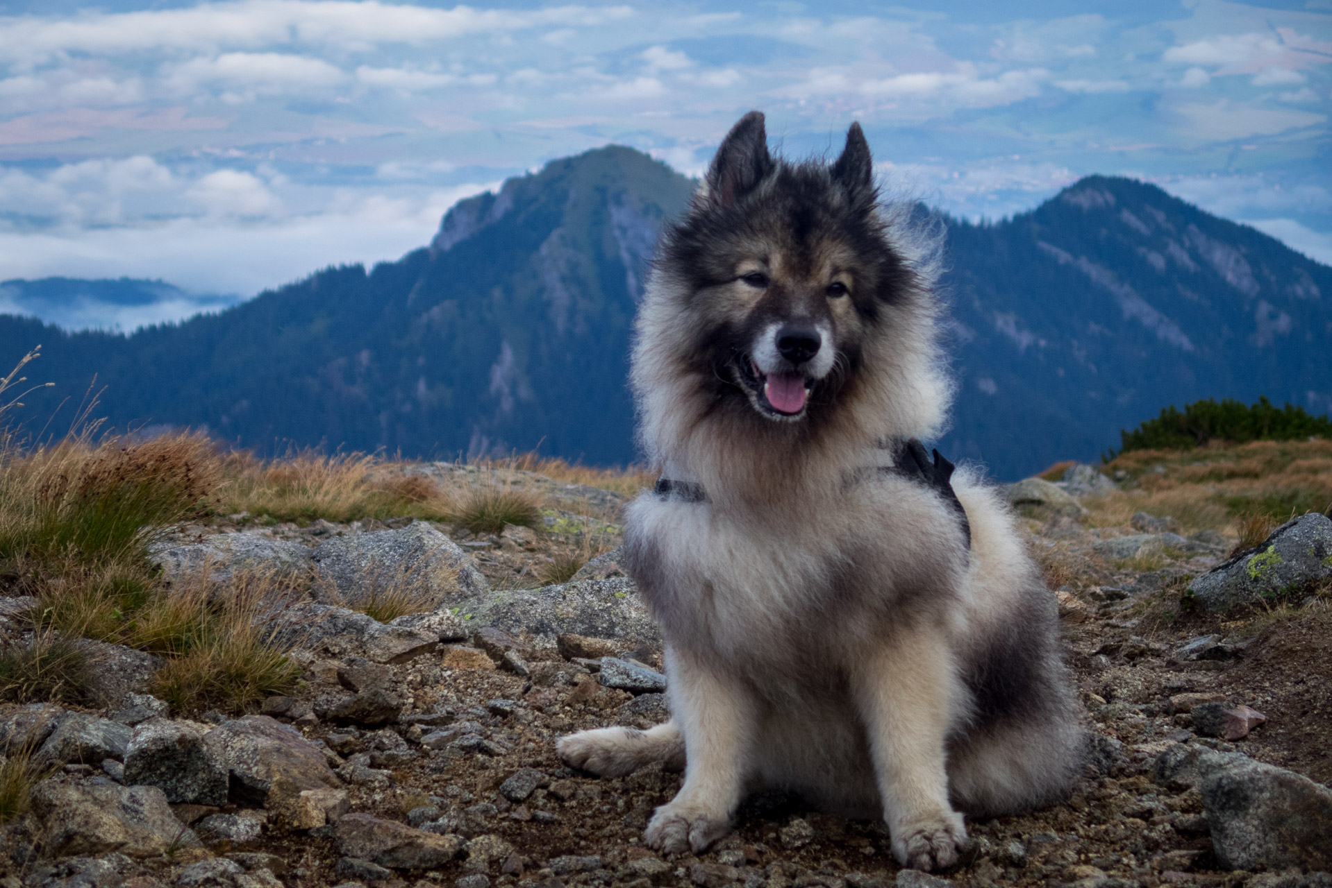 Poľana, Bôr a Siná za jeden deň (Nízke Tatry)