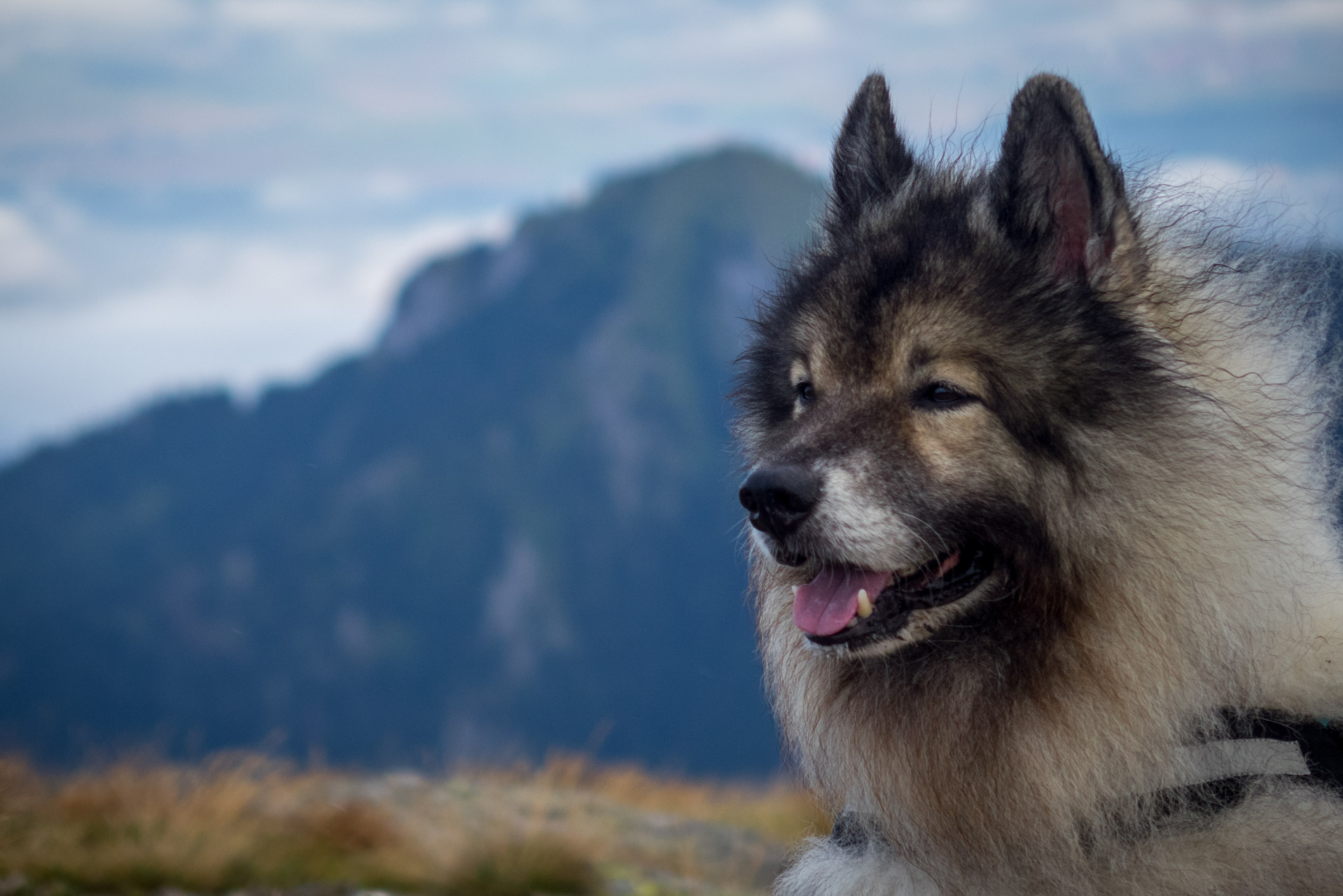 Poľana, Bôr a Siná za jeden deň (Nízke Tatry)