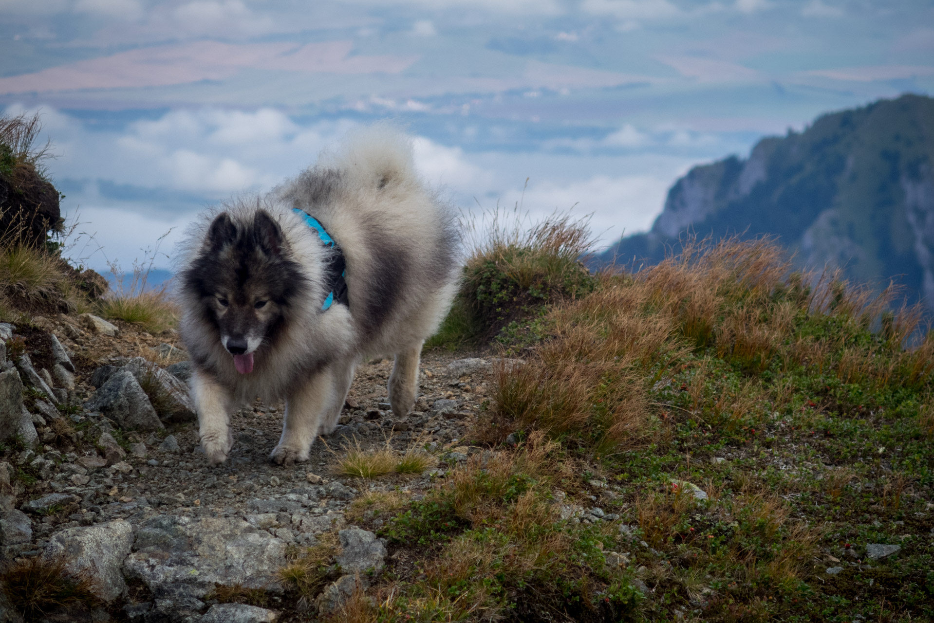 Poľana, Bôr a Siná za jeden deň (Nízke Tatry)