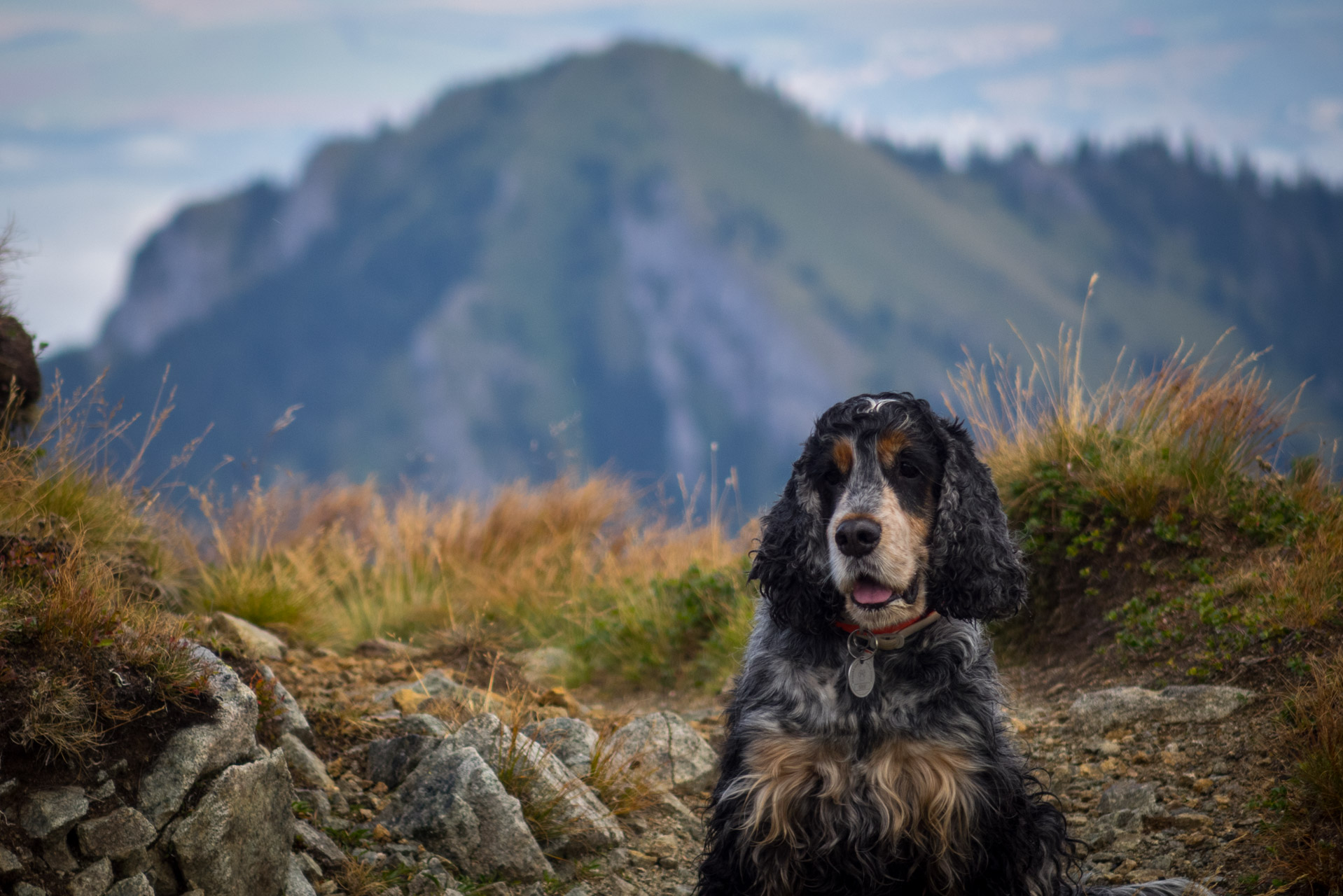 Poľana, Bôr a Siná za jeden deň (Nízke Tatry)