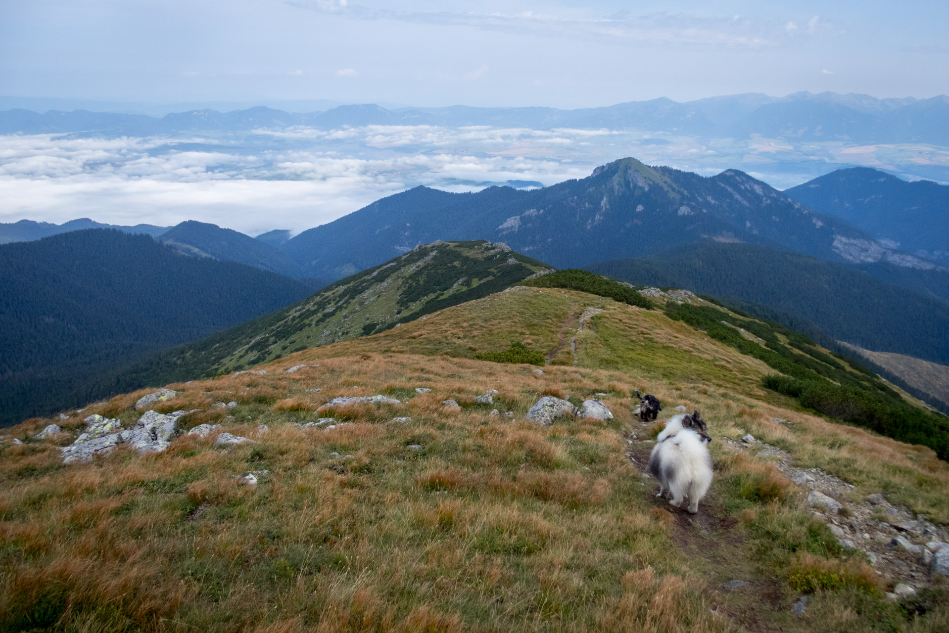 Poľana, Bôr a Siná za jeden deň (Nízke Tatry)