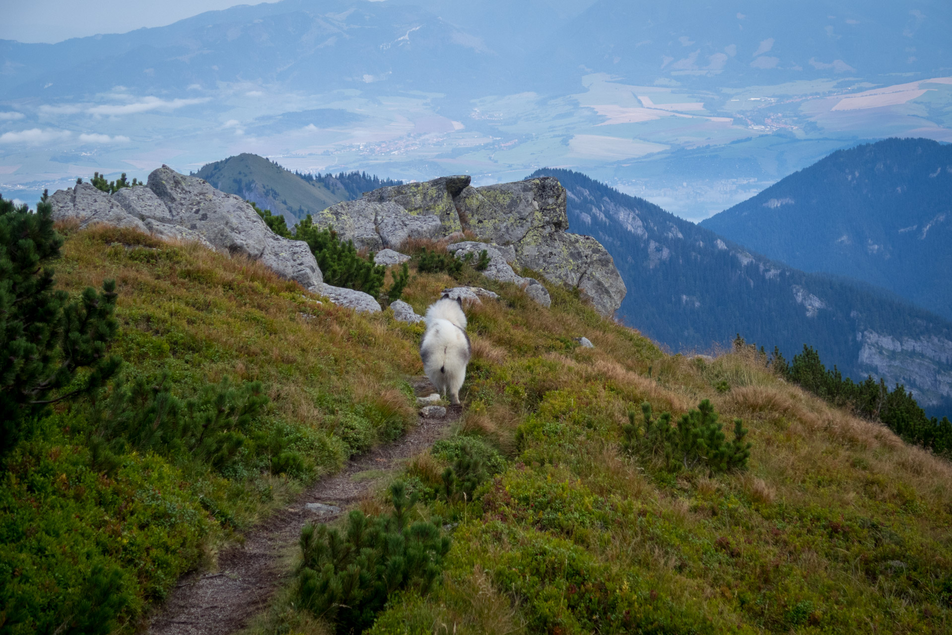 Poľana, Bôr a Siná za jeden deň (Nízke Tatry)