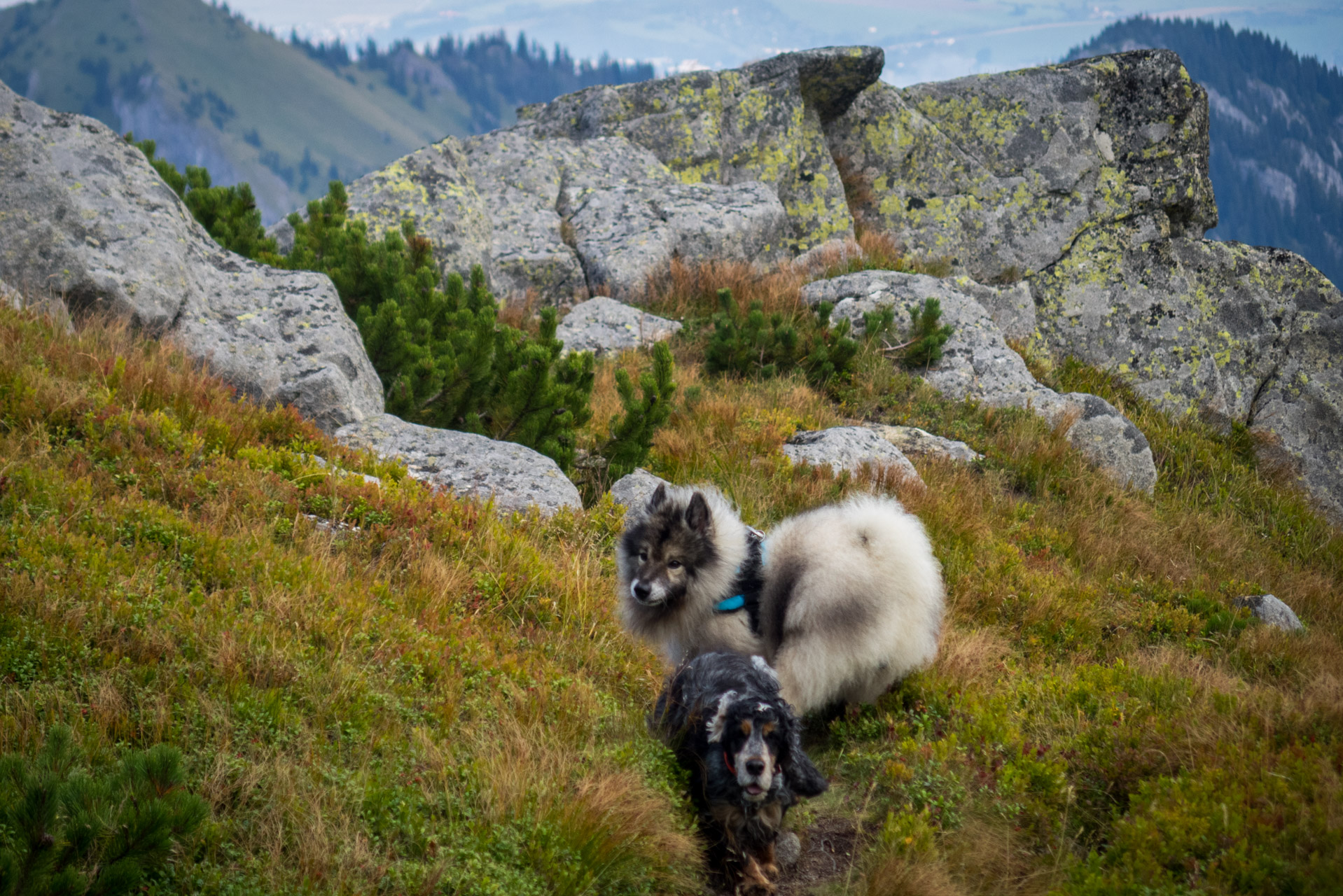 Poľana, Bôr a Siná za jeden deň (Nízke Tatry)