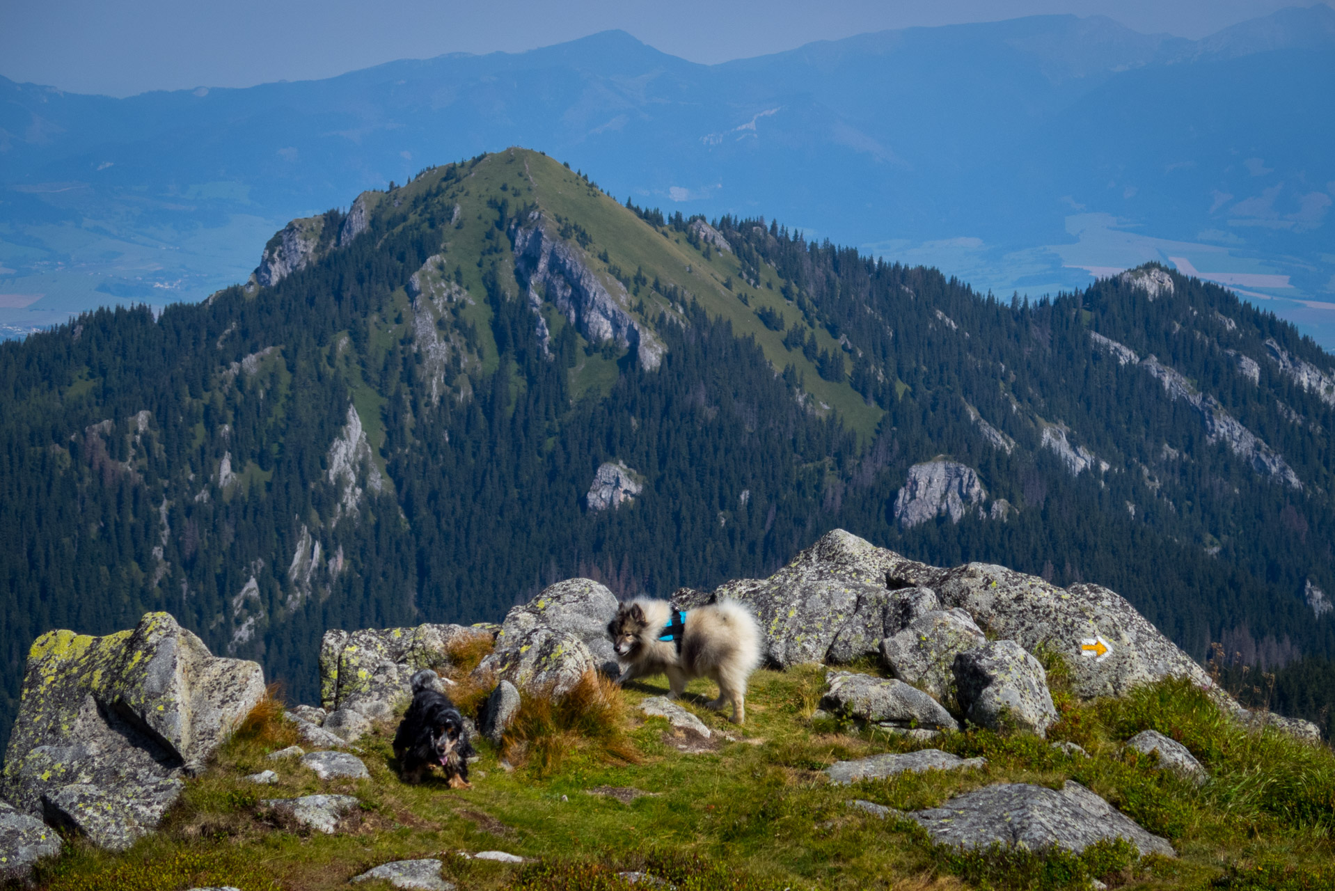 Poľana, Bôr a Siná za jeden deň (Nízke Tatry)