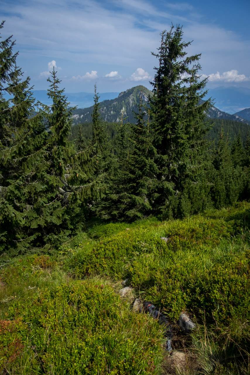 Poľana, Bôr a Siná za jeden deň (Nízke Tatry)